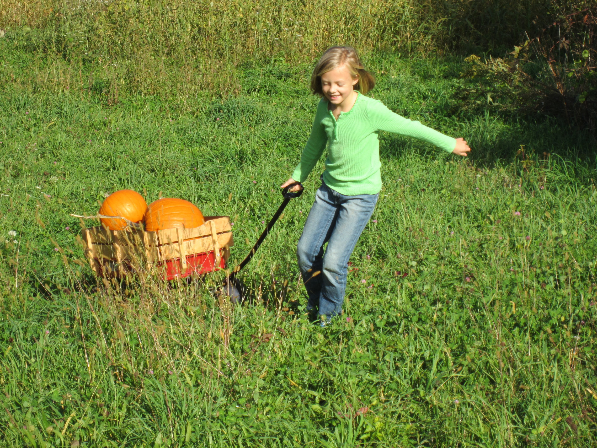 Songs My Daughter Taught Me