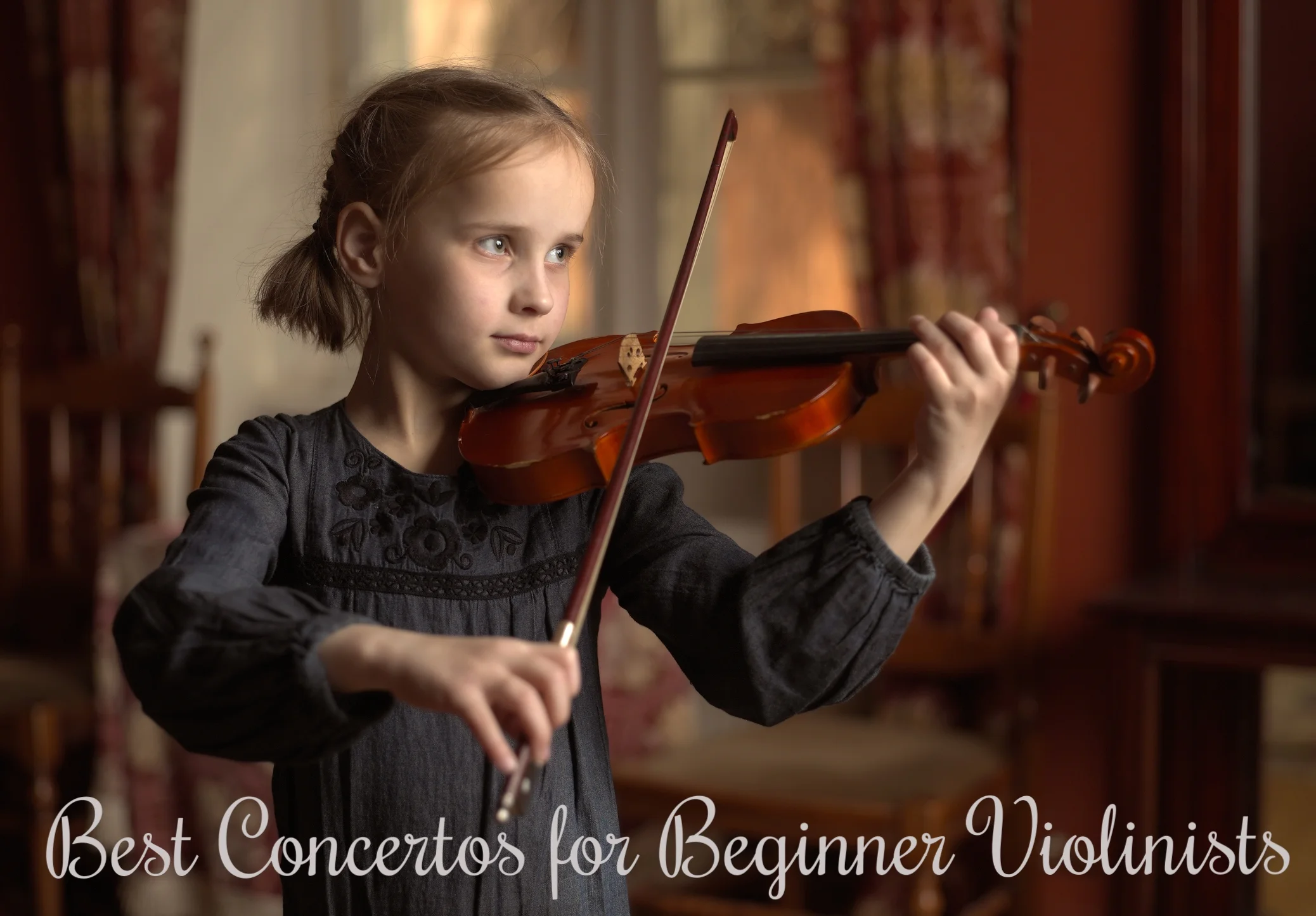 Best Violin Concertos for Beginners The Violin