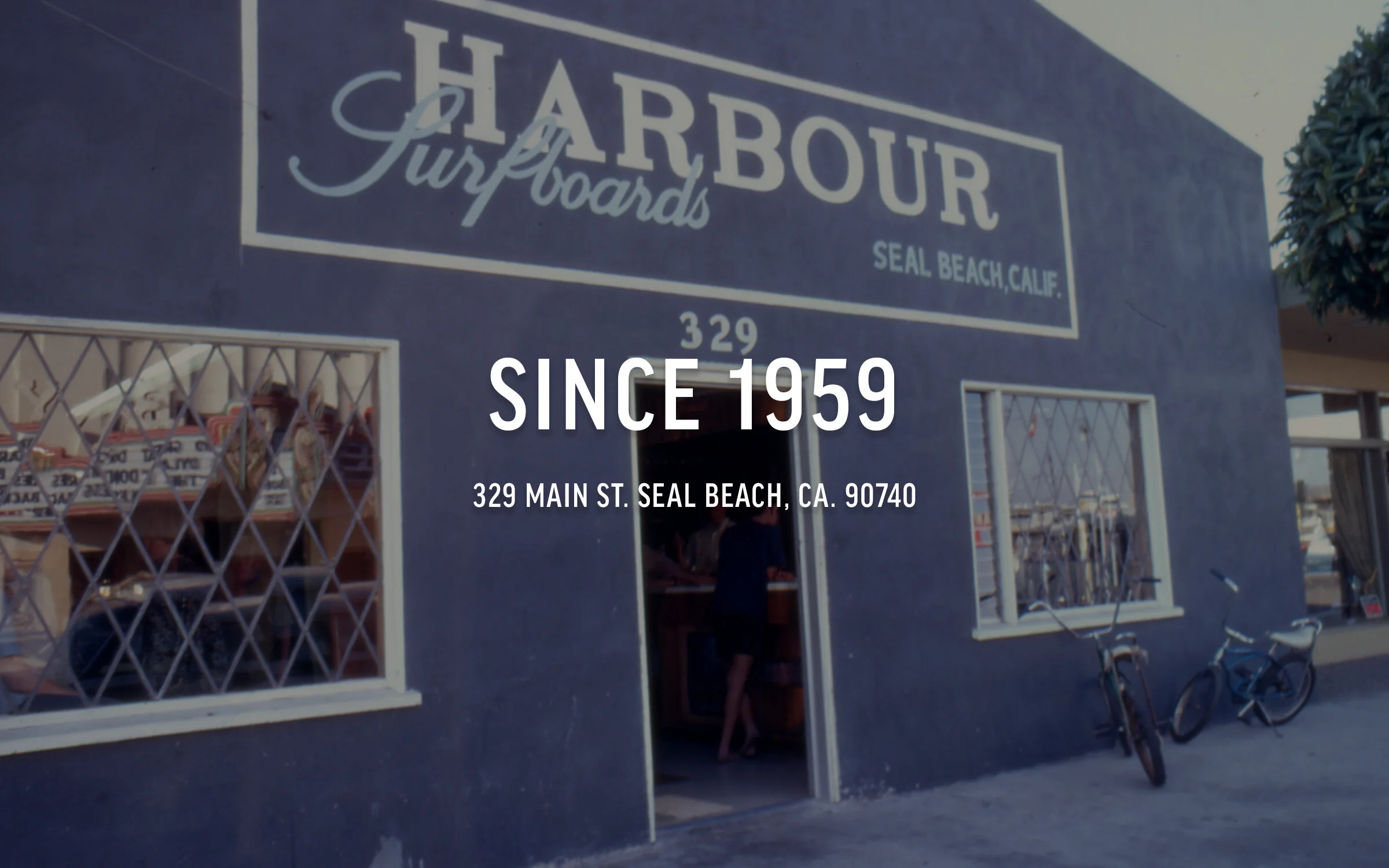 HARBOUR.WEBSITE.UPDATE [06].jpg
