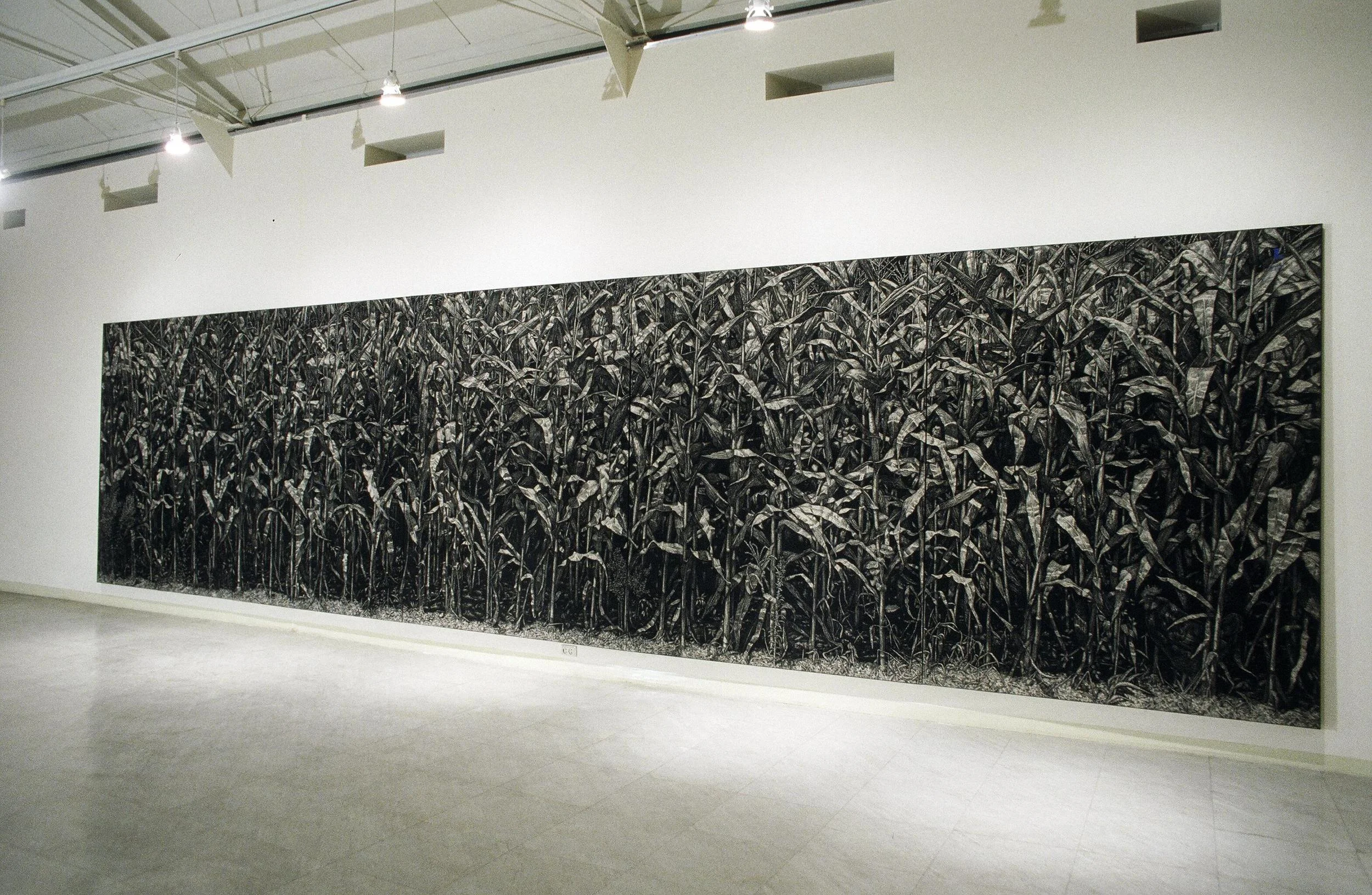 227x910(cm),2003.JPG