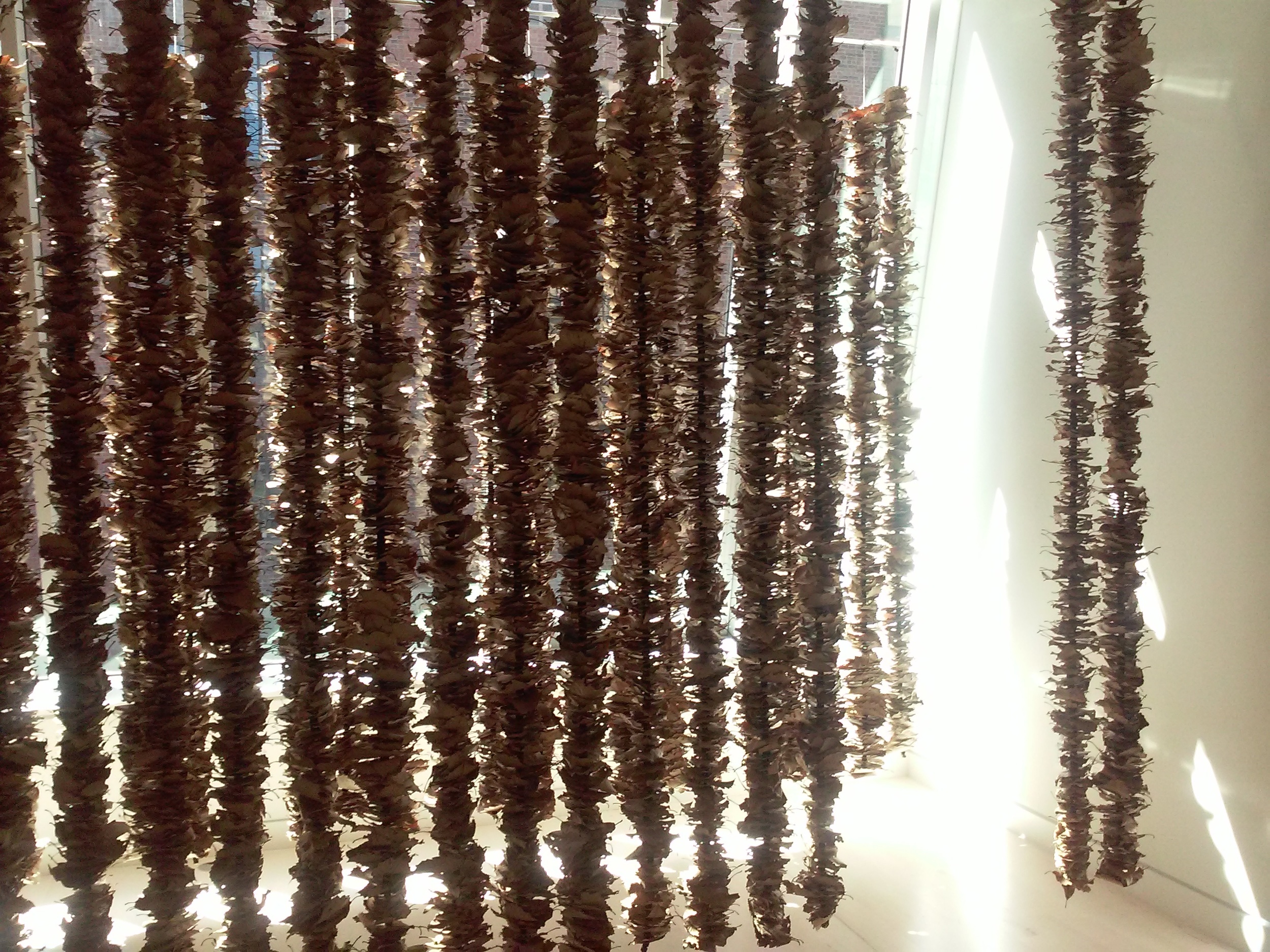 20150914_114959.jpg