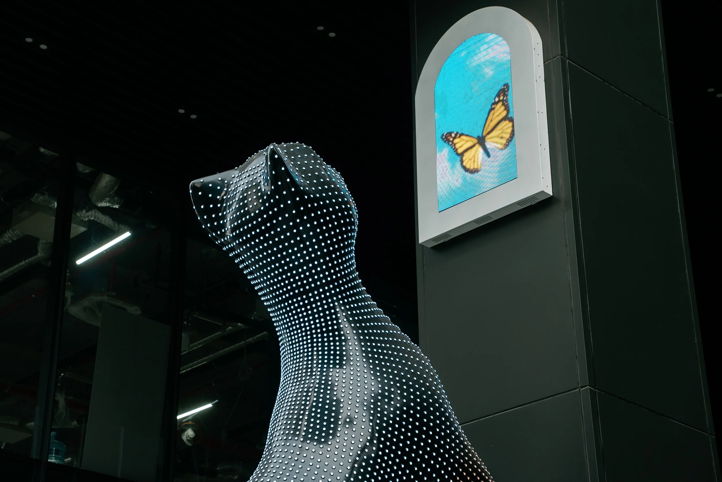 KakaoTalk_Photo_2023-06-29-16-40-43 004.jpeg