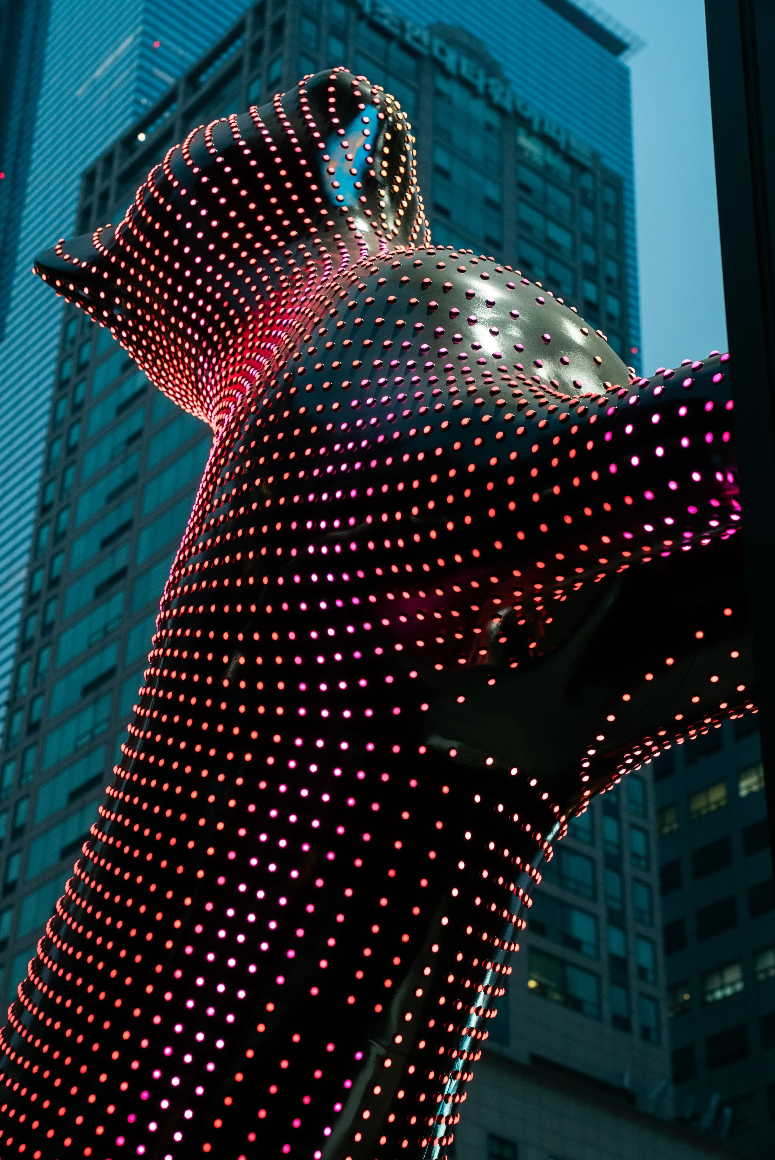 KakaoTalk_Photo_2023-06-29-16-40-42 003.jpeg