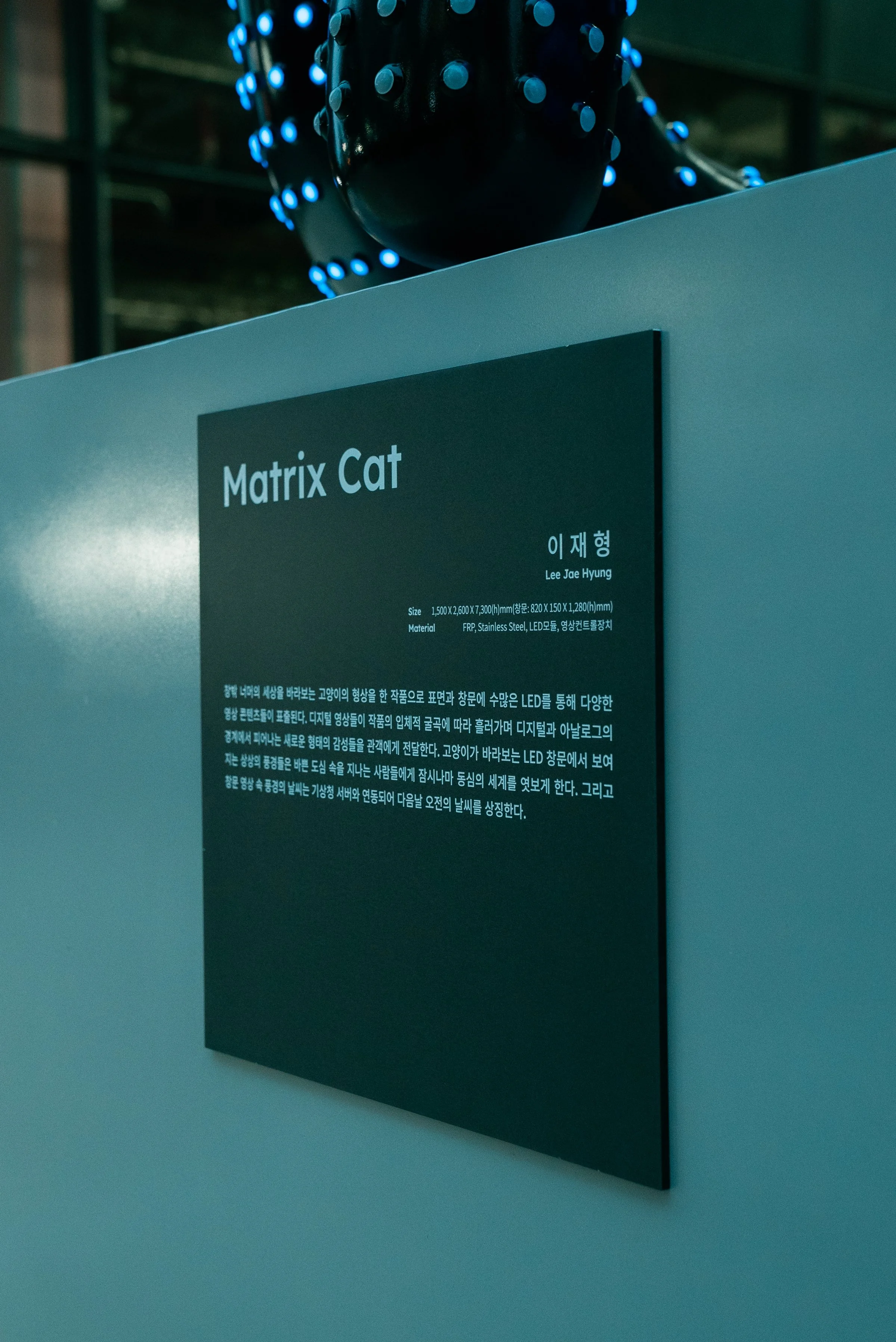 KakaoTalk_Photo_2023-06-29-16-40-44 005.jpeg