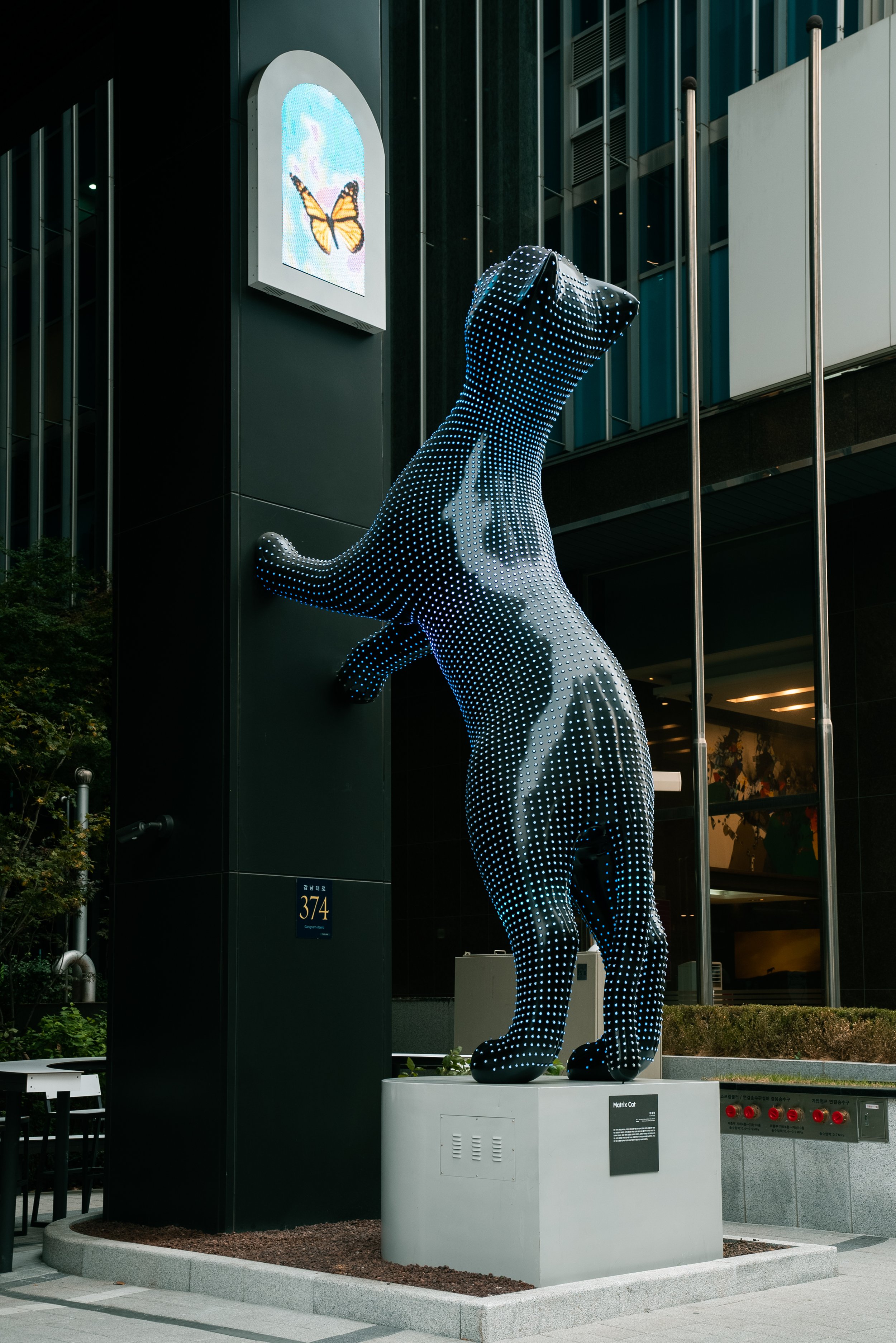 KakaoTalk_Photo_2023-06-29-16-40-45 006.jpeg