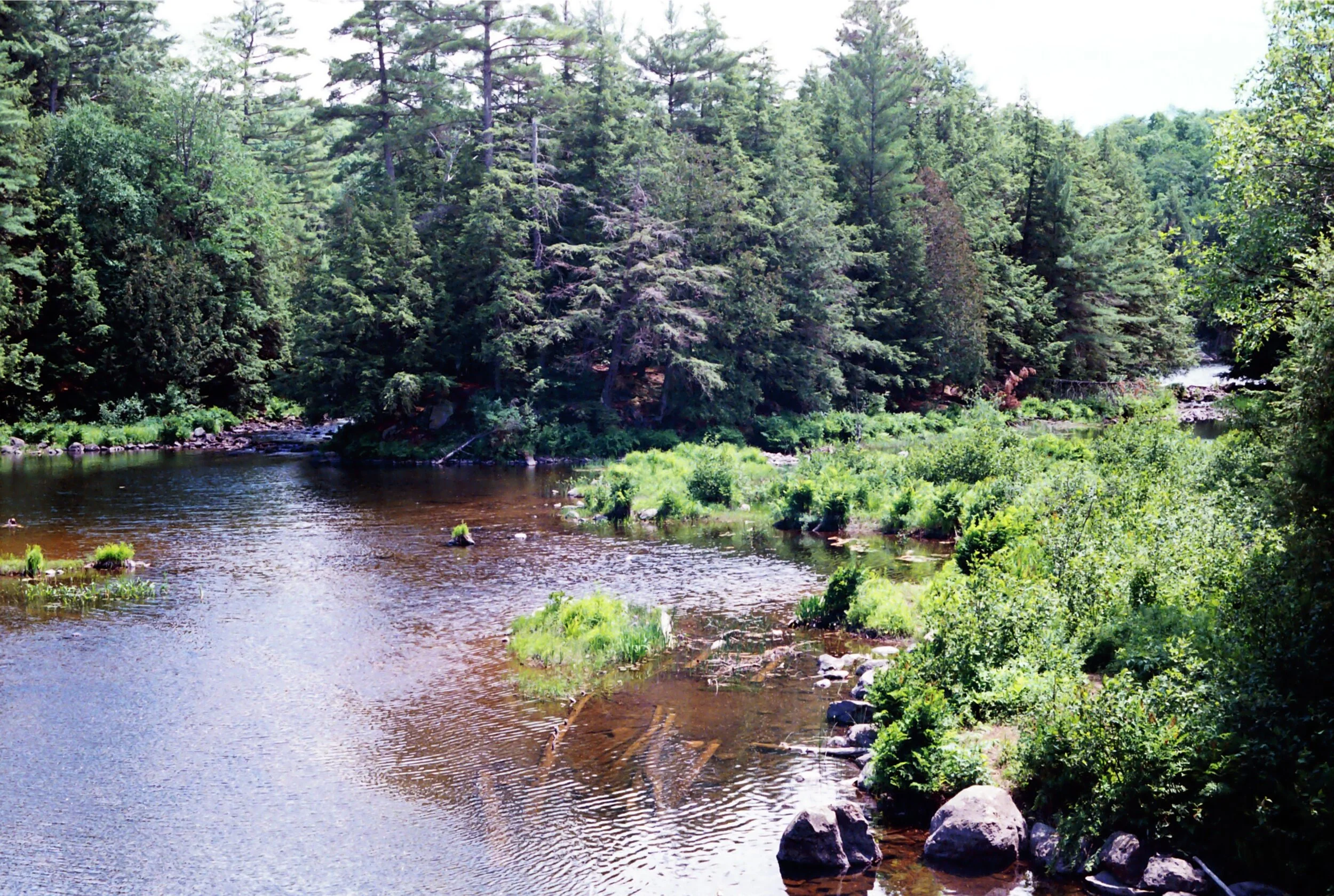 IMG-8307.JPG