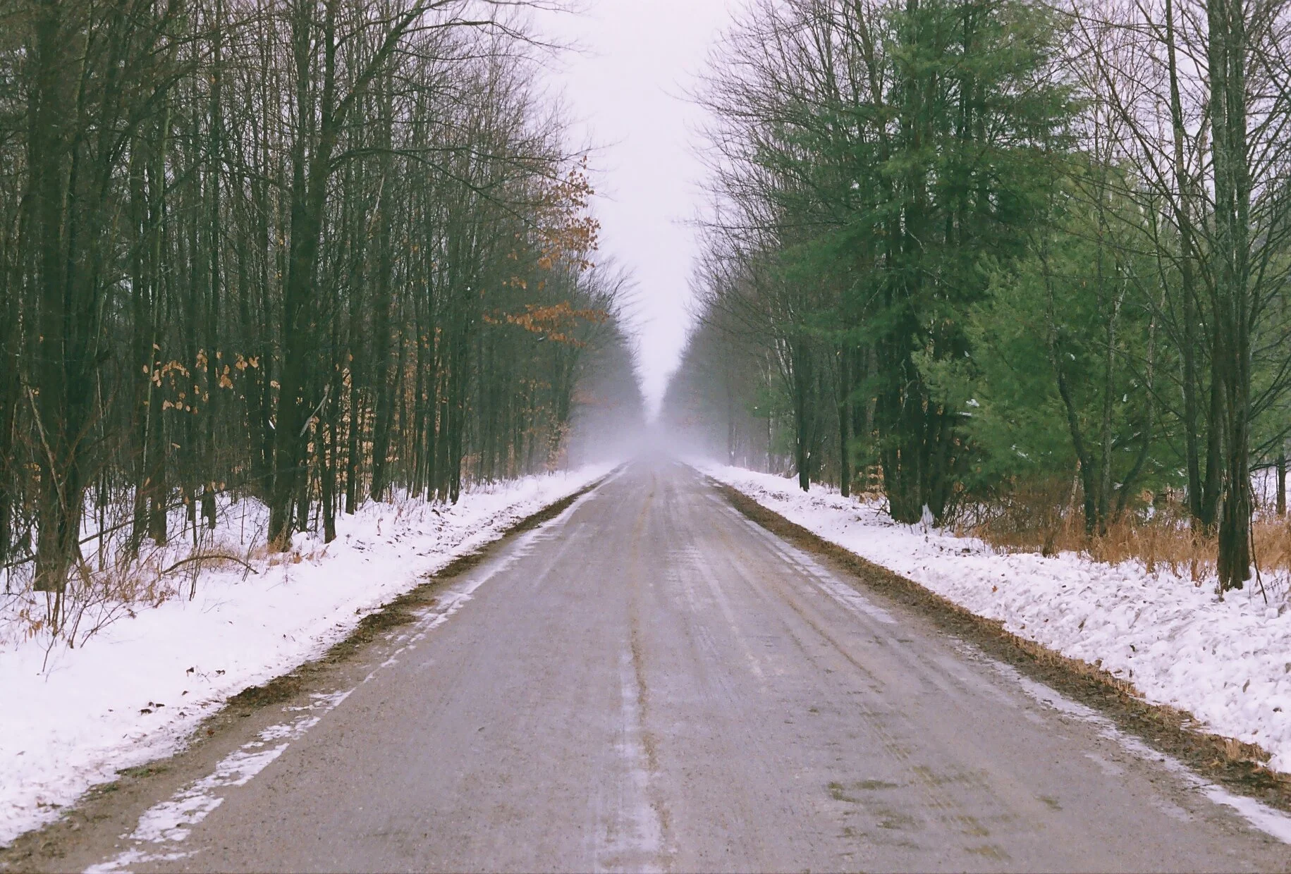 IMG-0989.JPG