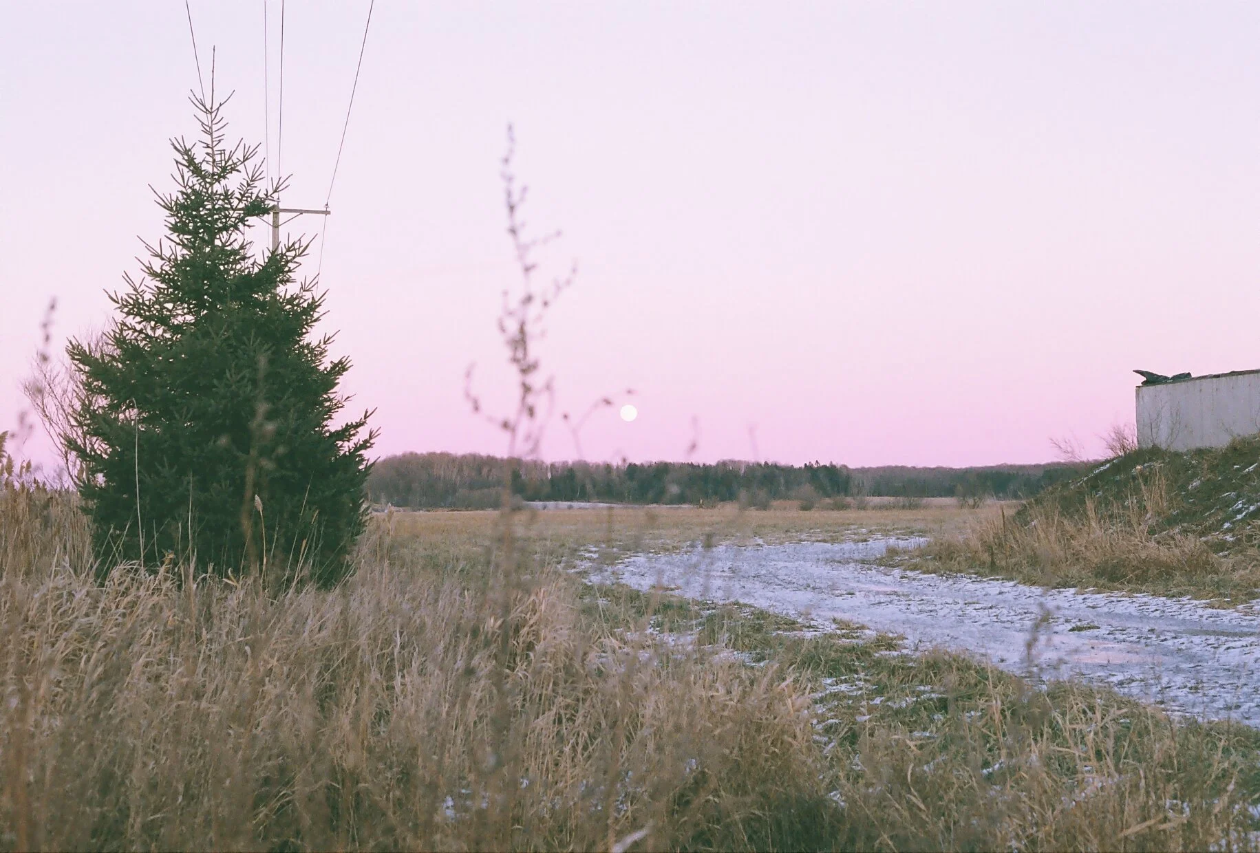IMG-0995.JPG
