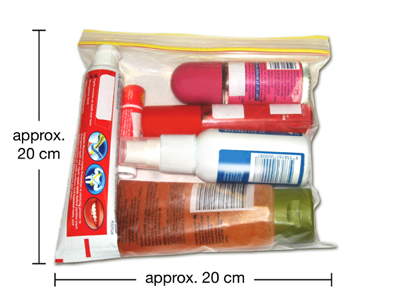 zip lock bags for air travel