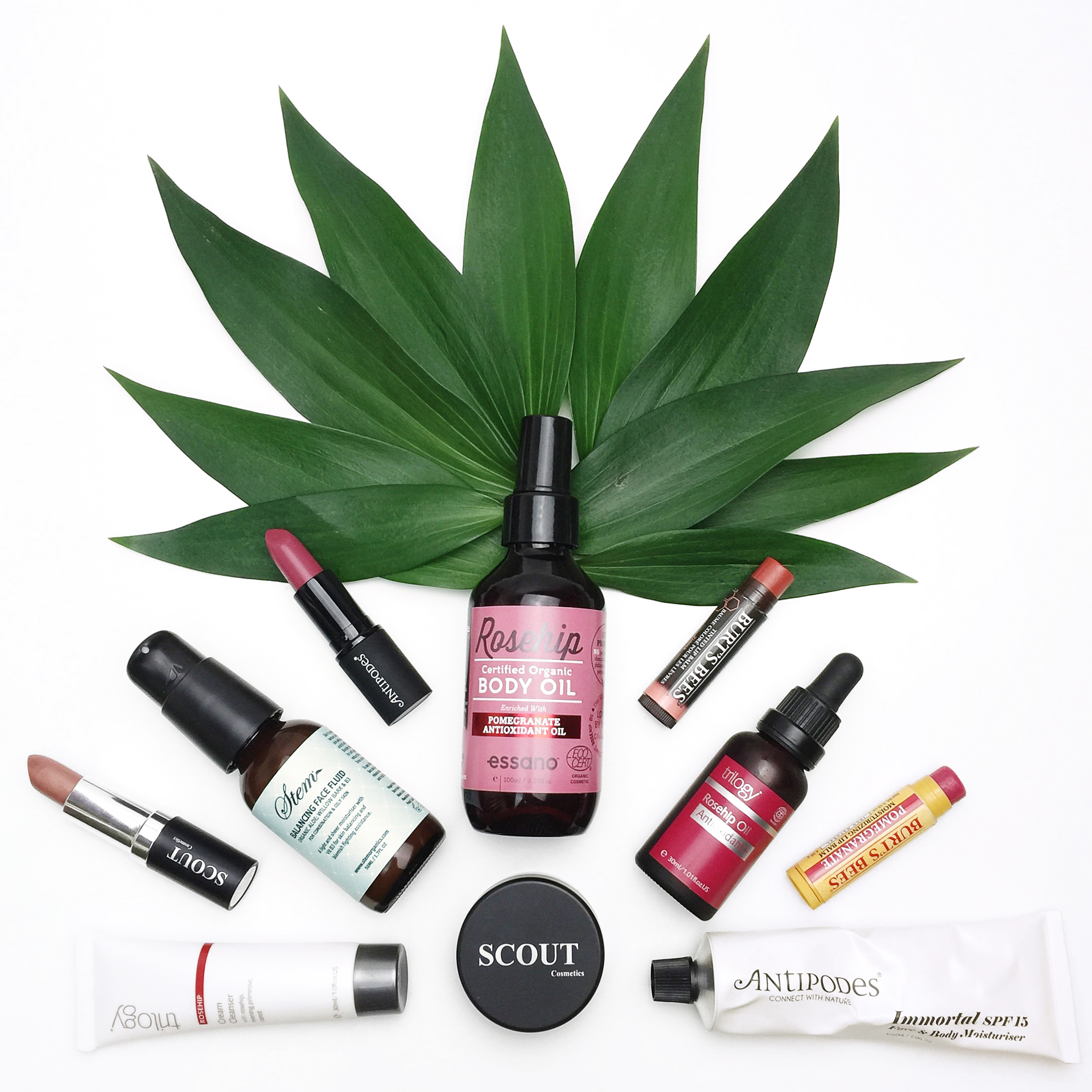 Au Natural Natural And Organic Skincare And Makeup Guide