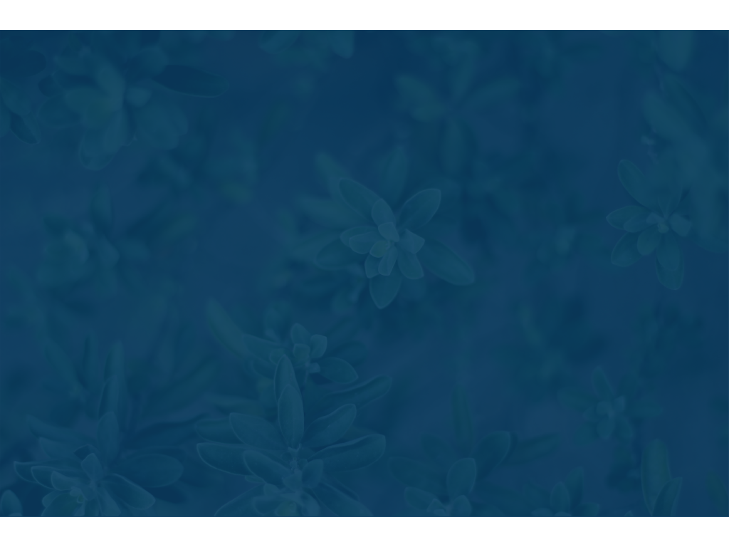 HEADERS-02.png