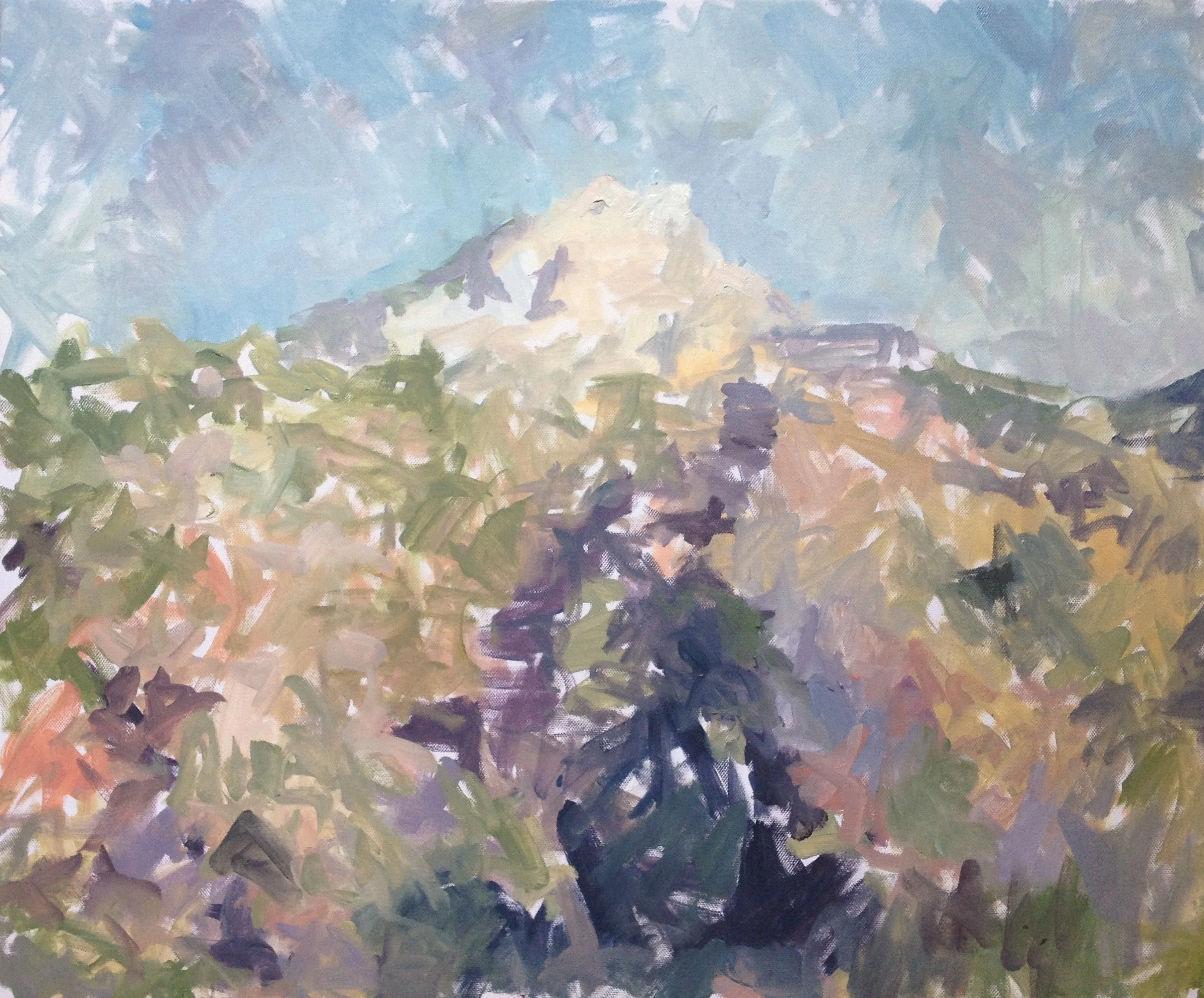 Oil on Canvas - 60x73 cm