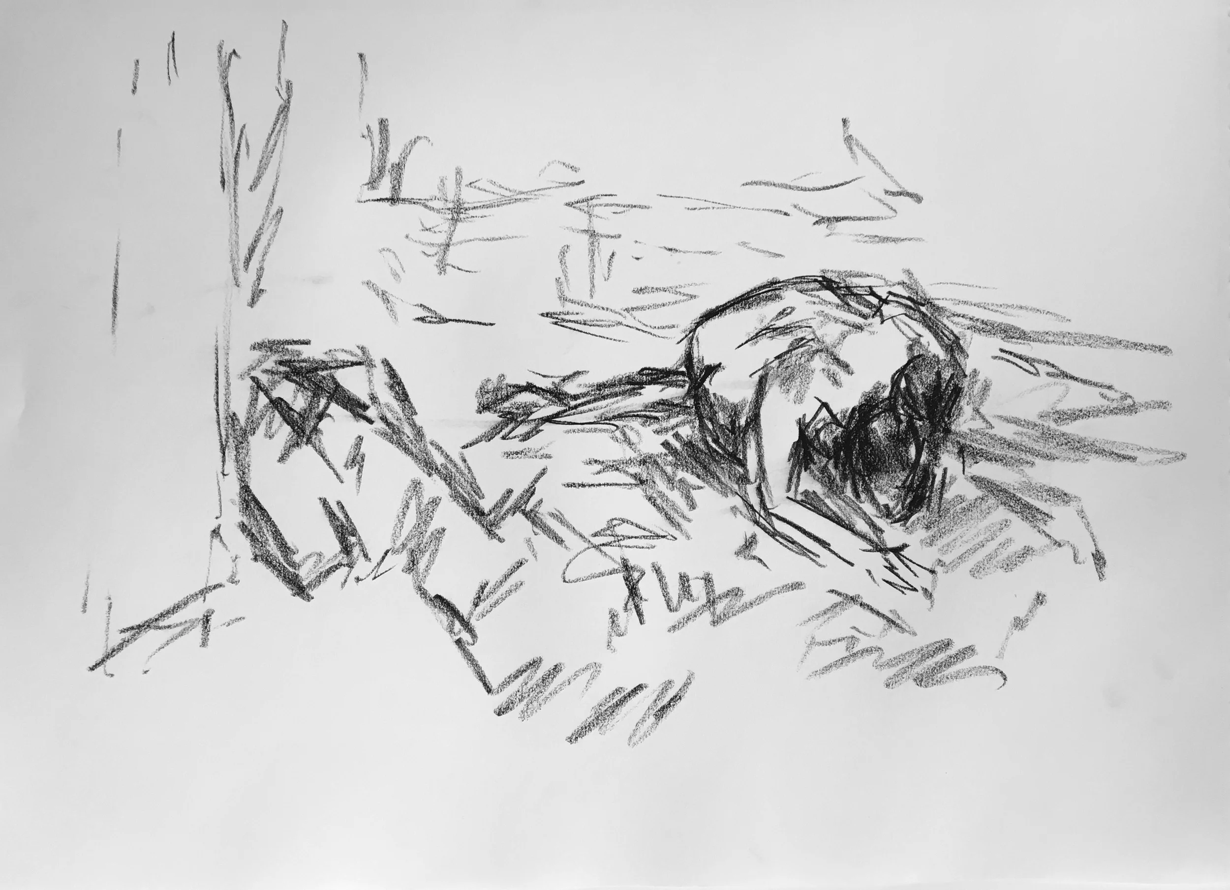Conté Crayon on Paper - 29x42 cm