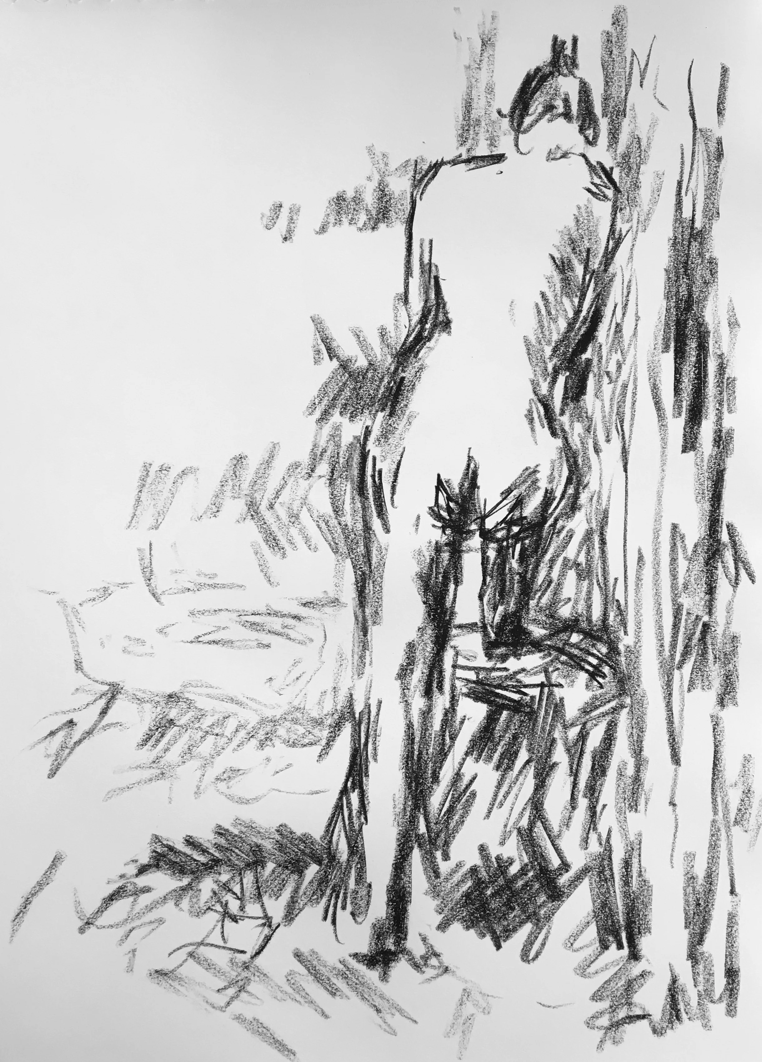 Conté Crayon on Paper - 29x42 cm