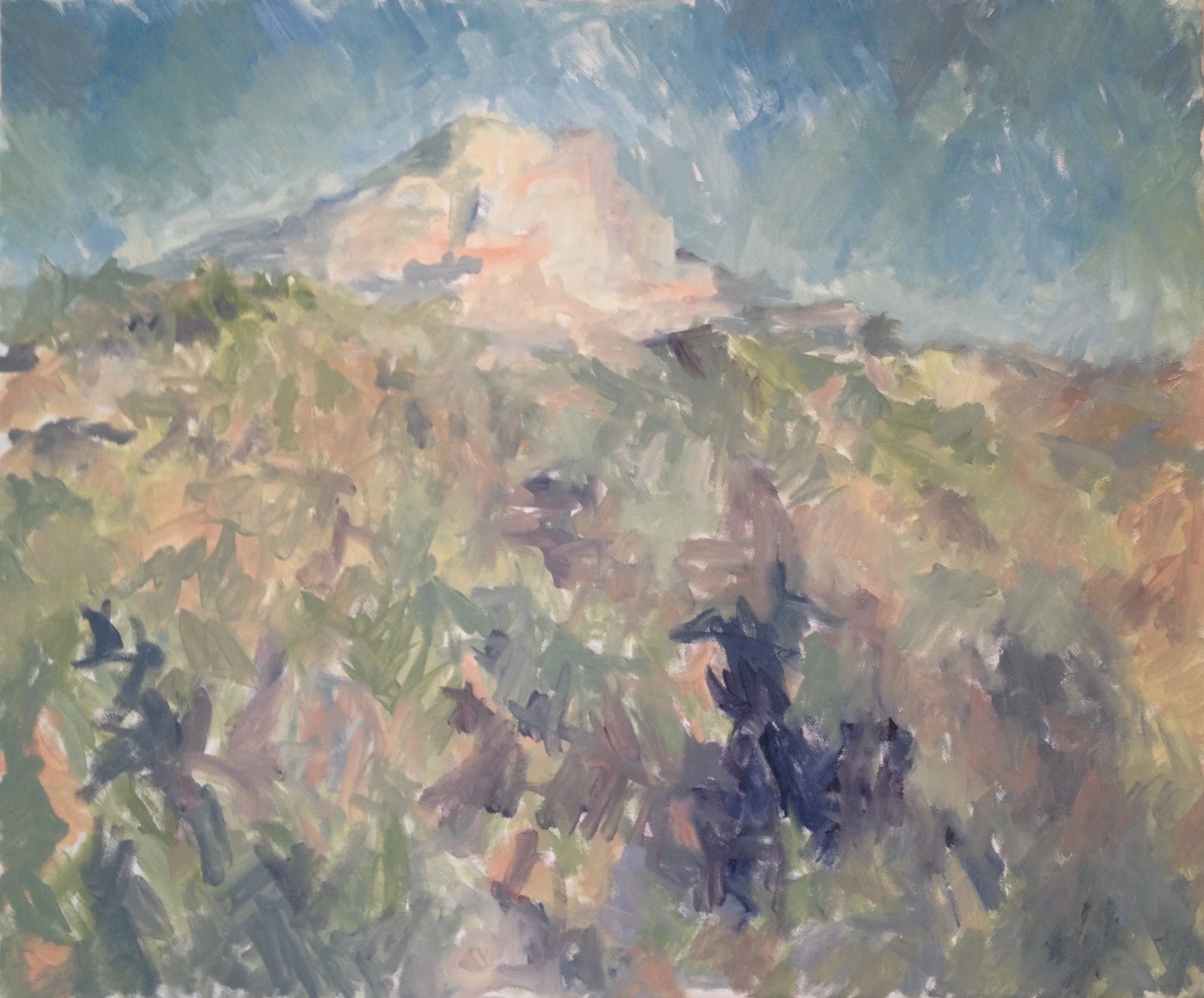 Oil on Canvas - 54x65 cm
