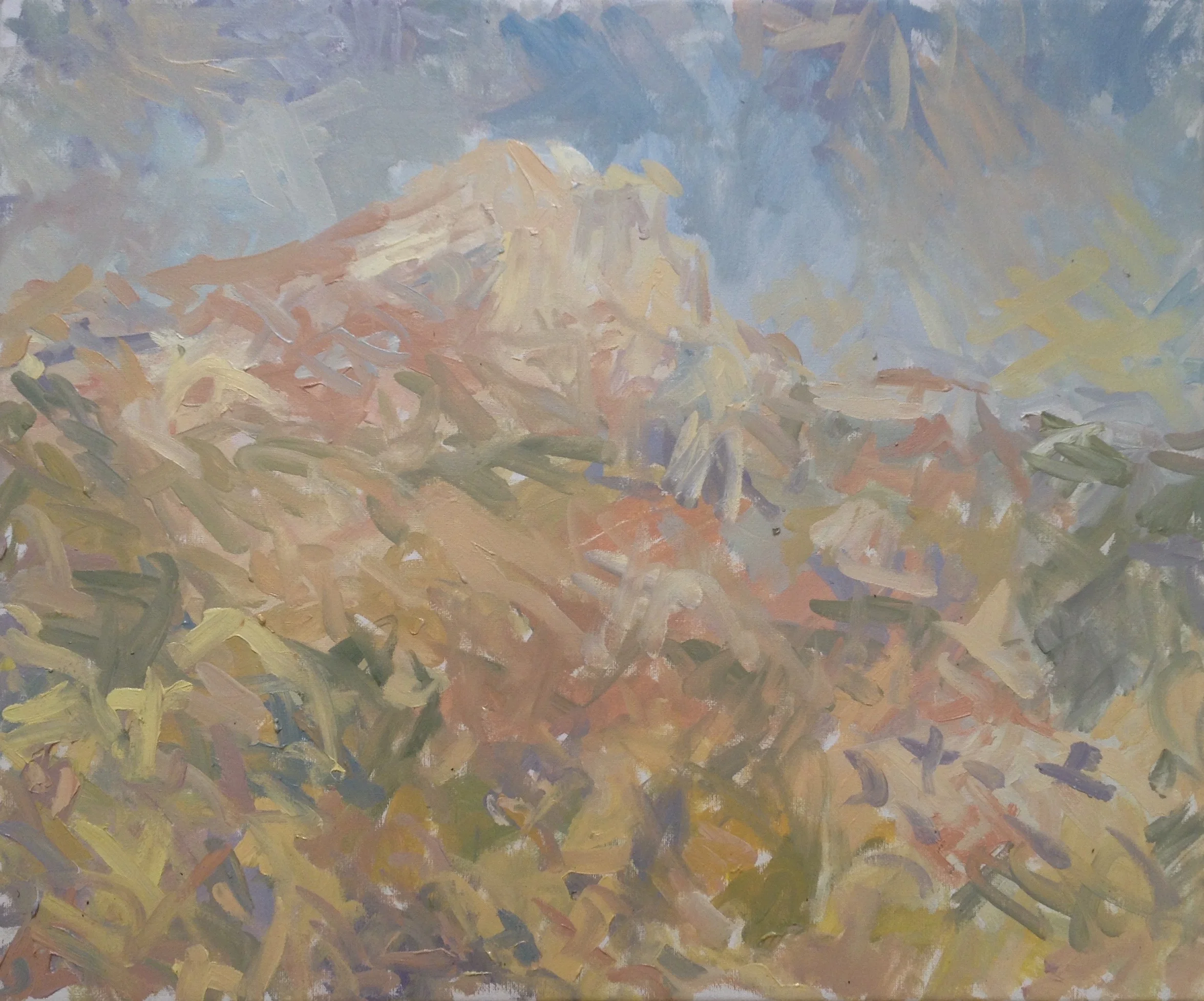 Oil on Canvas - 46 x 55 cm