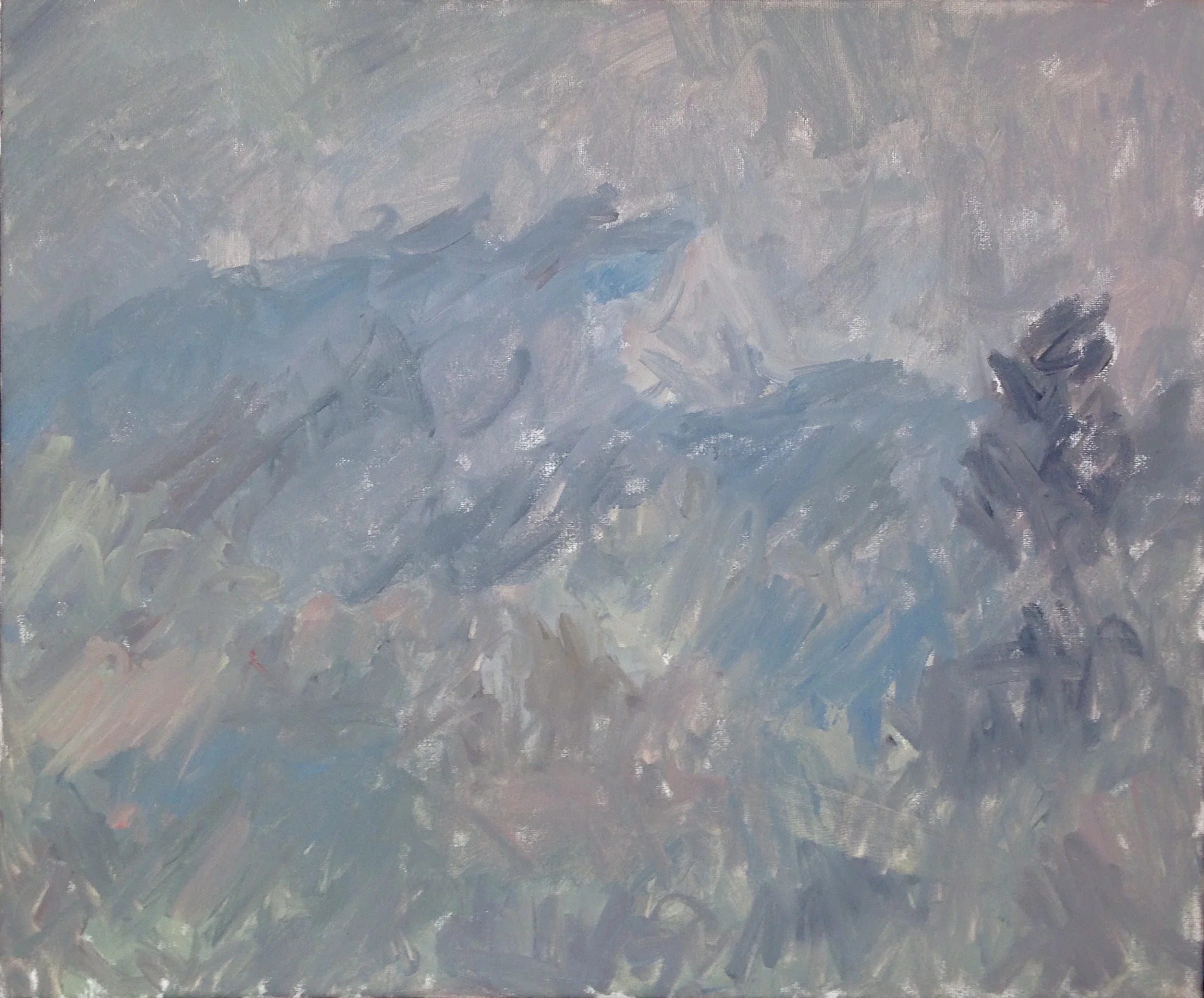 Oil on Canvas - 46 x 55 cm