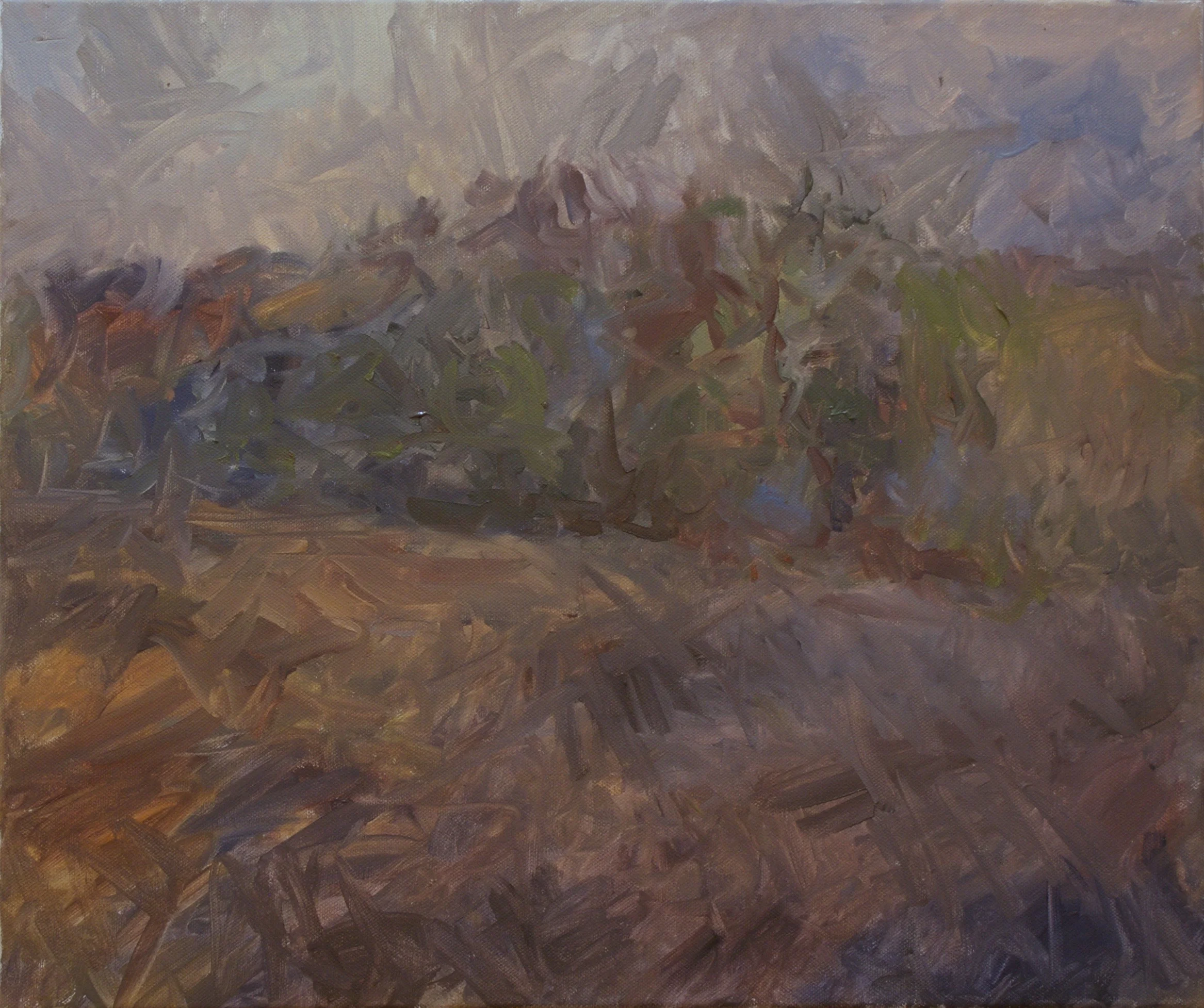 Oil on Canvas - 46x55 cm