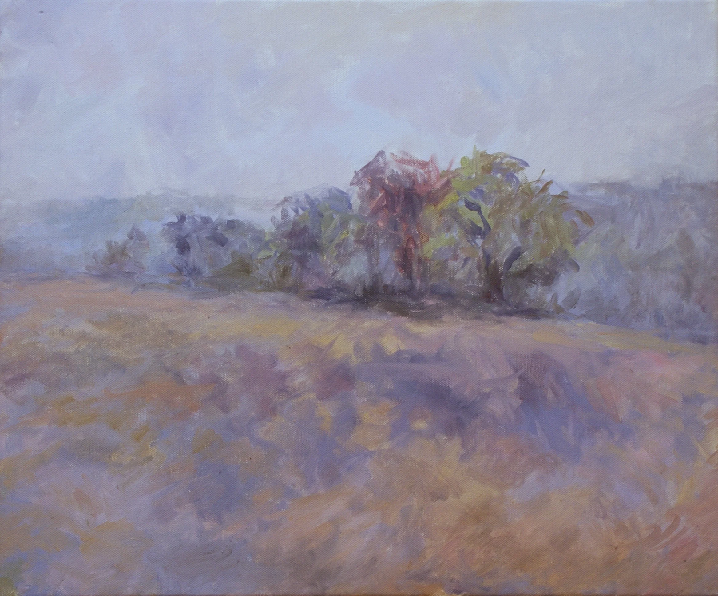 Oil on Canvas - 46x55 cm