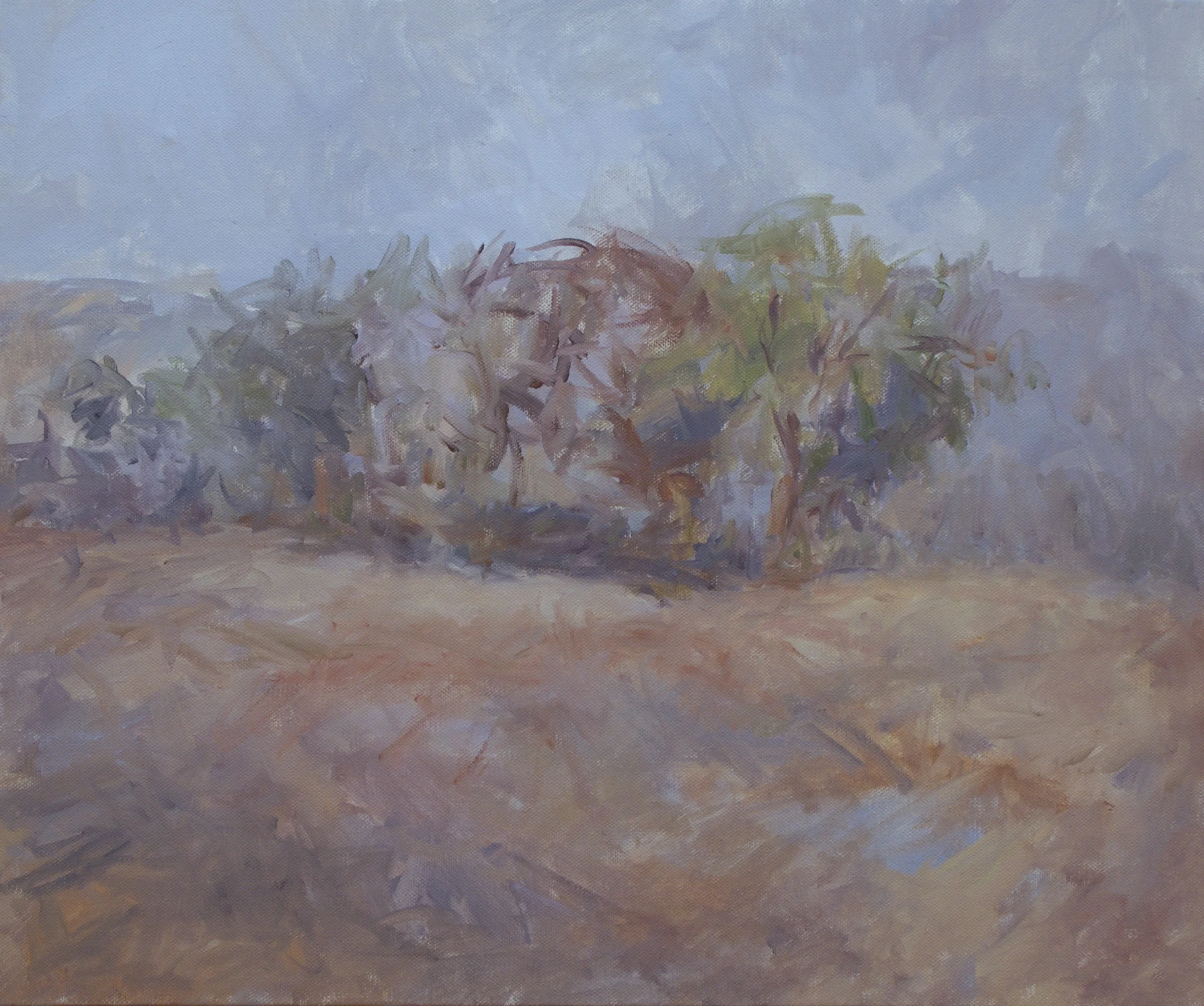 Oil on Canvas - 46x55 cm