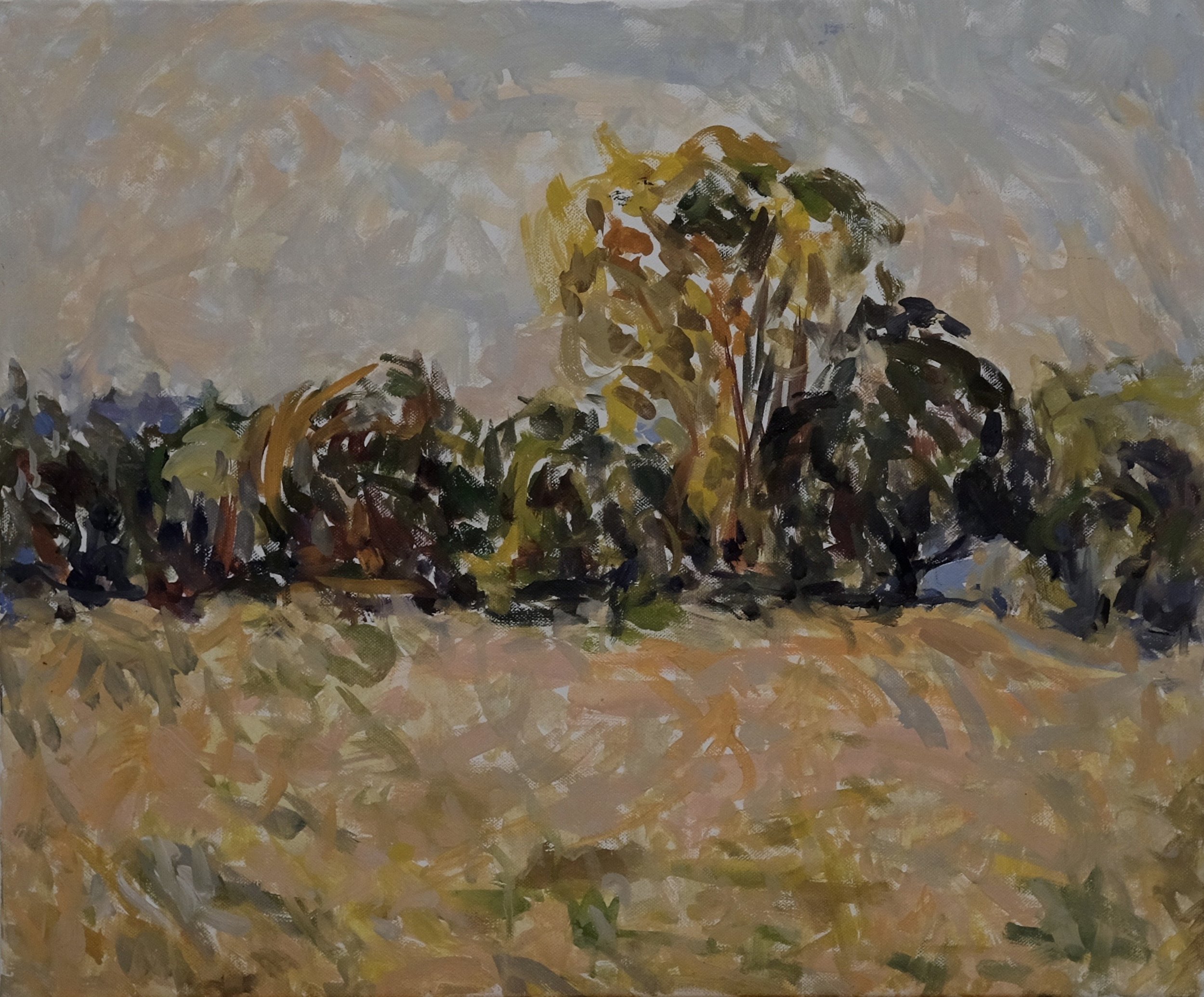Oil on Canvas - 55x46cm