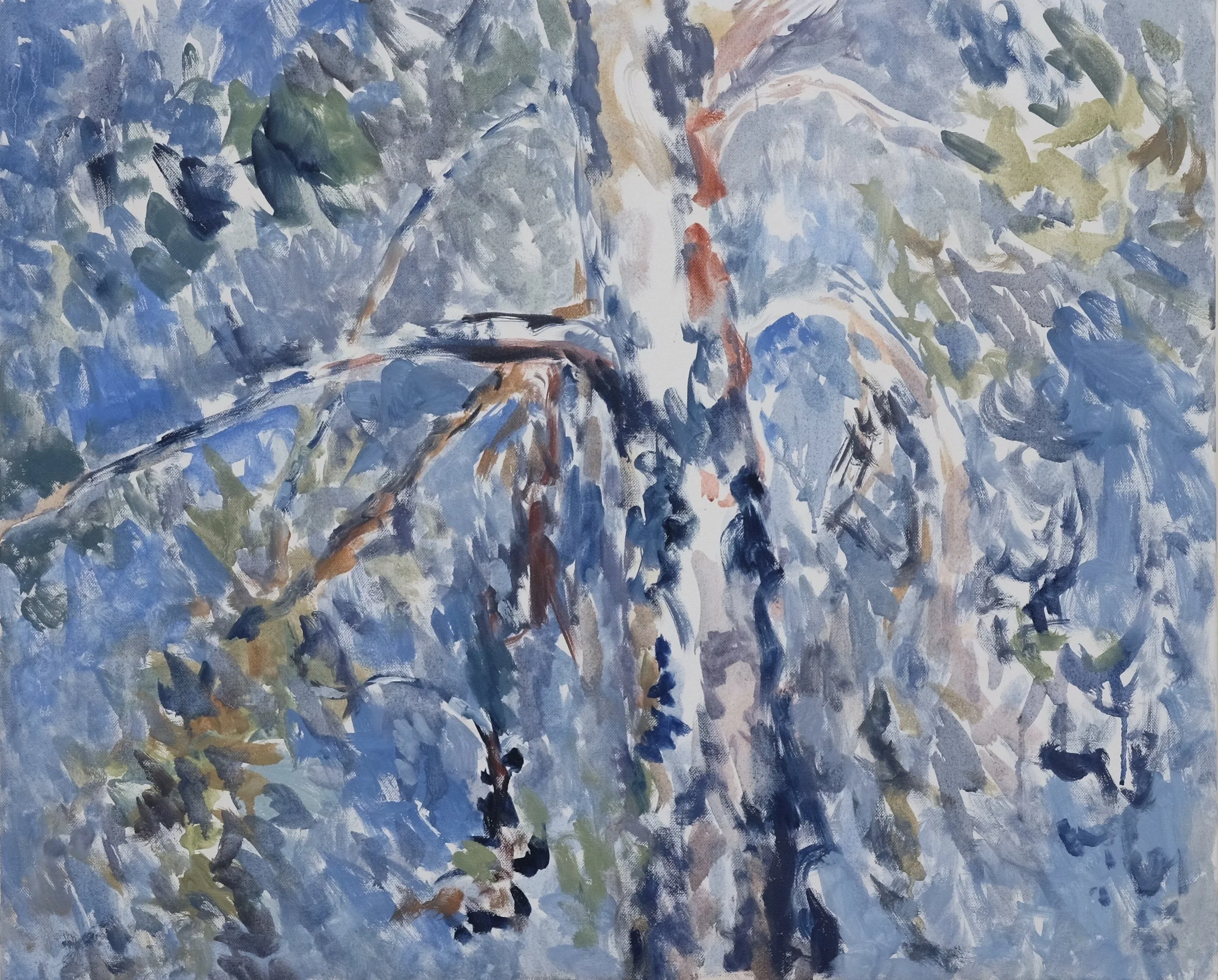 Pine 5.jpg