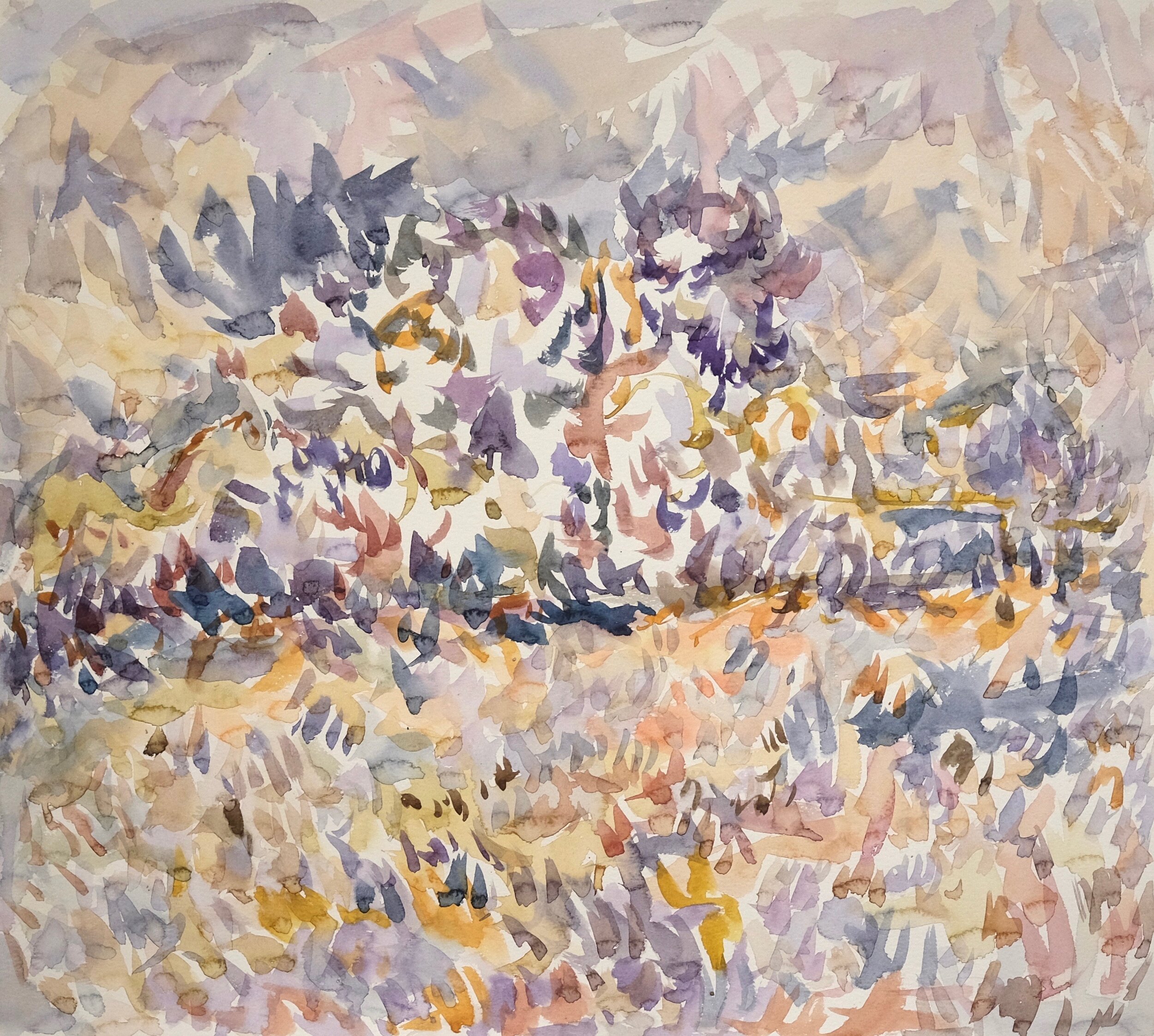 Trees and Field.jpeg
