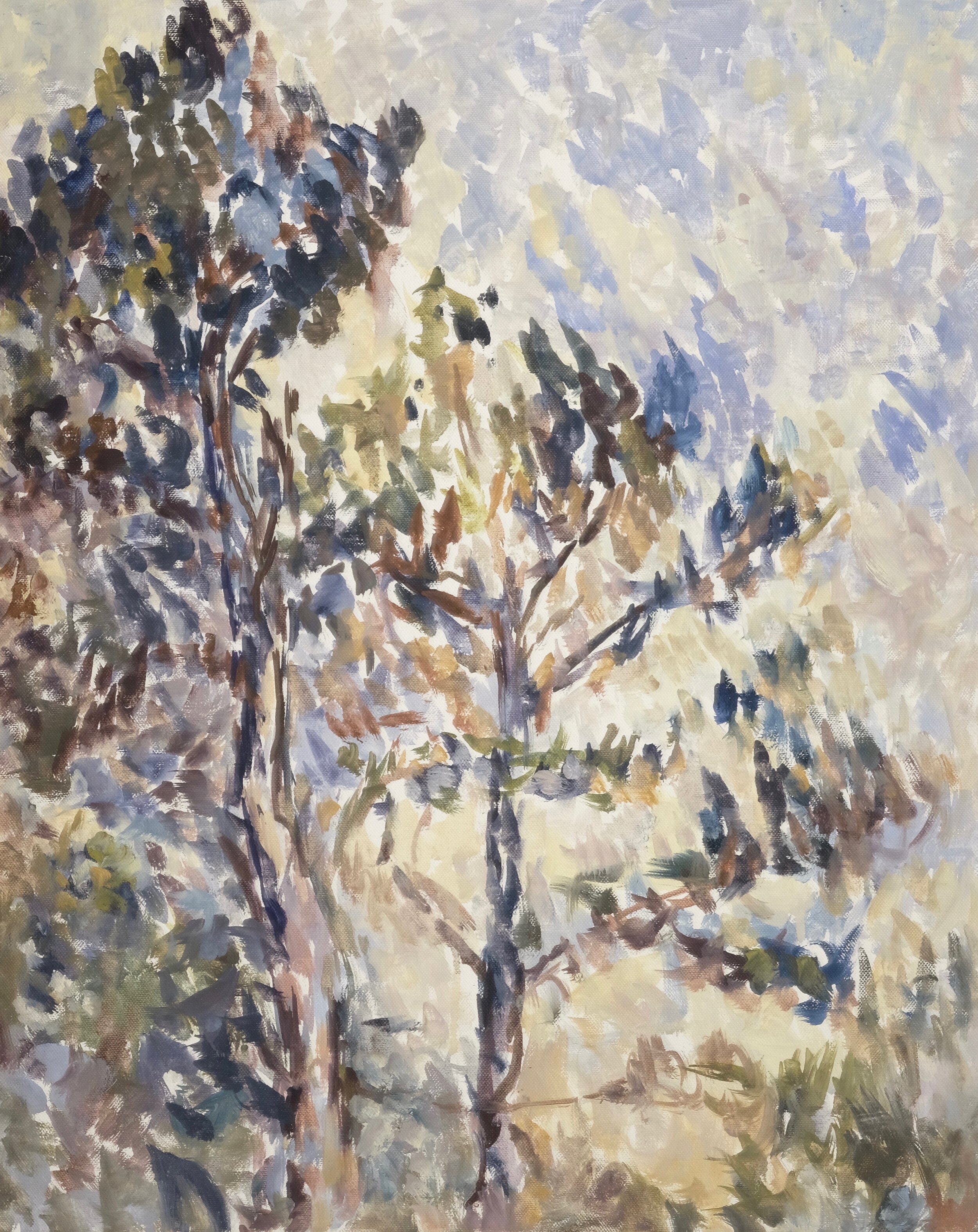 Trees.jpeg