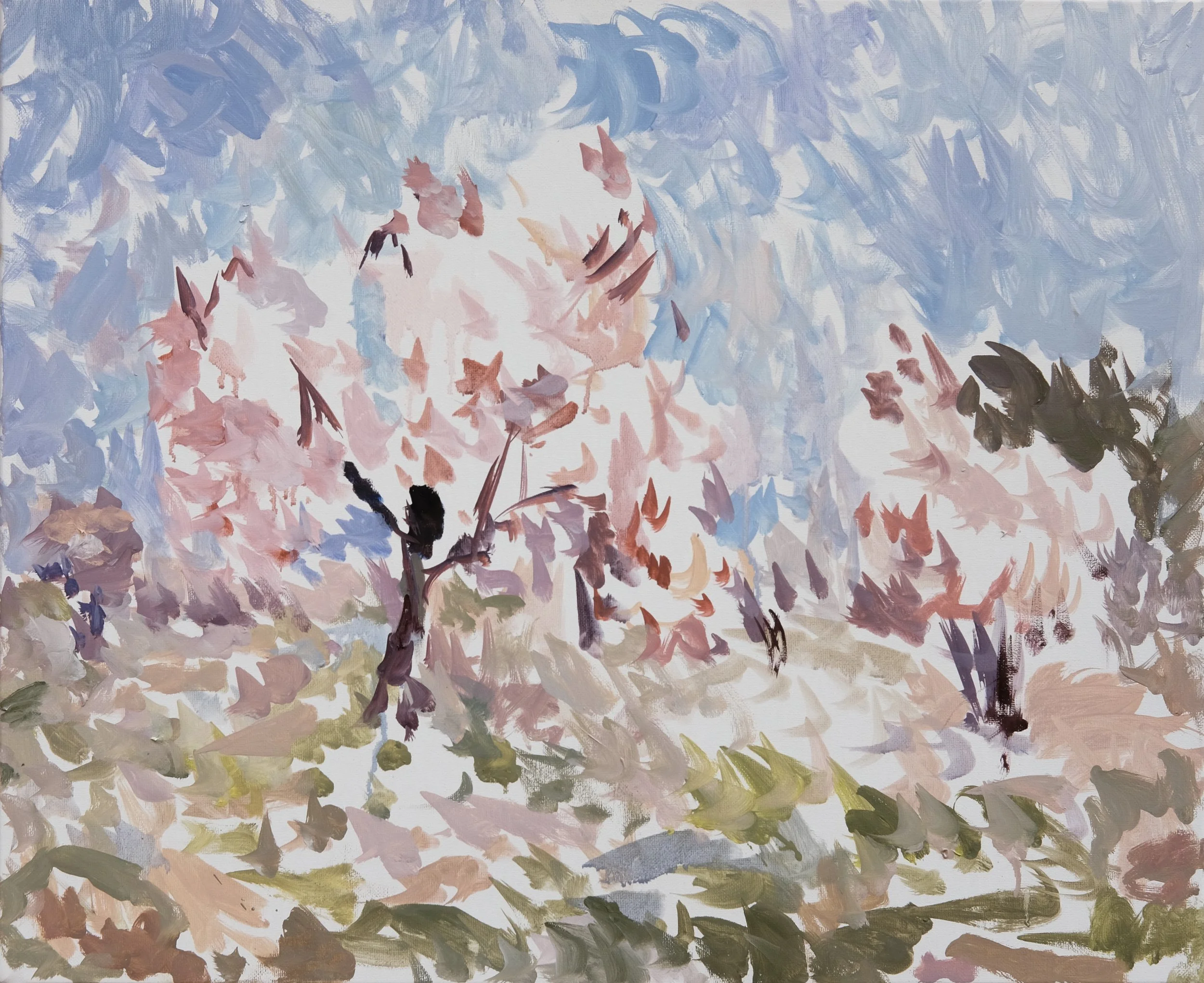  O’Neill Cushman oil painting en plain air Almond Blossoms series in Aix en Provence 