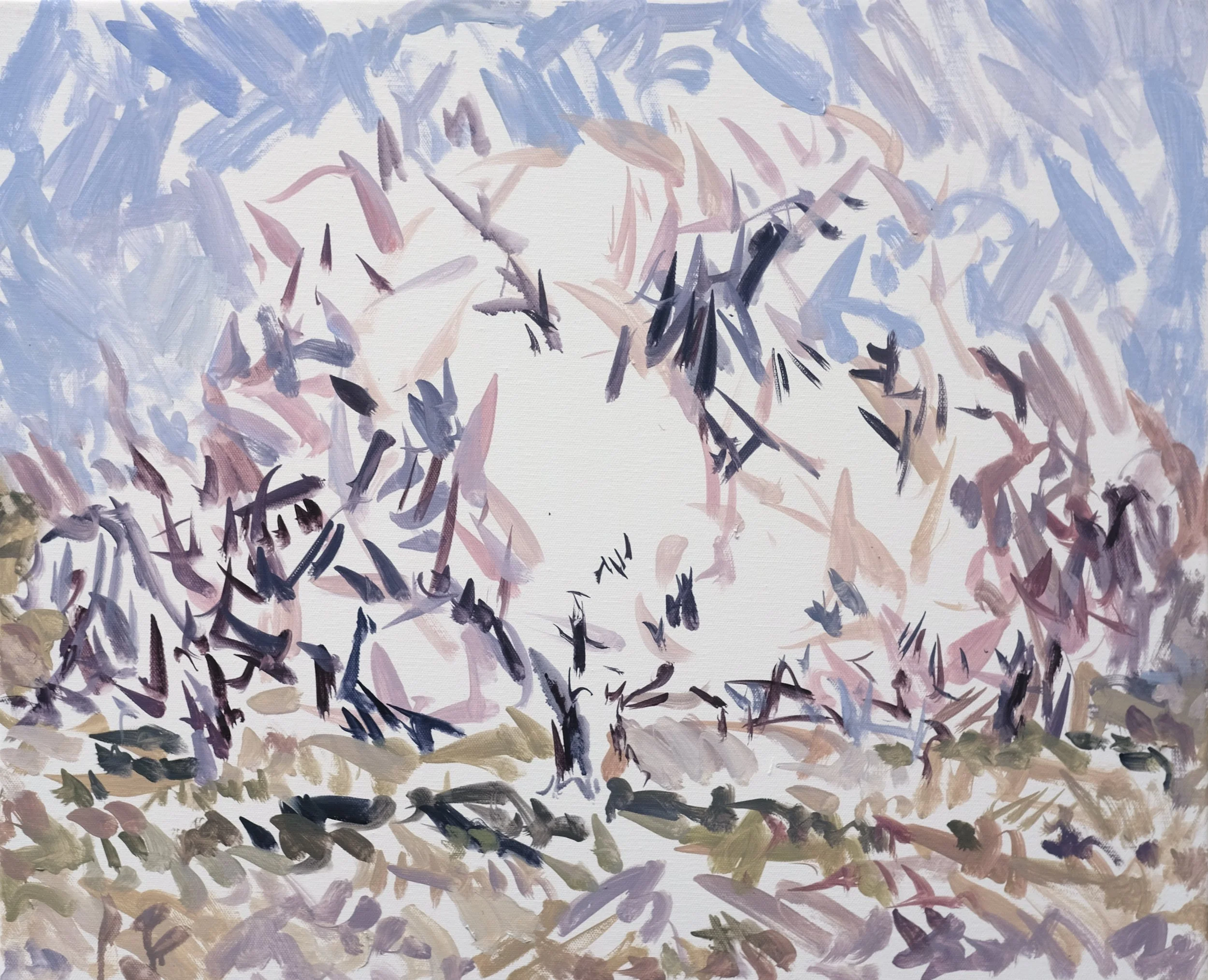 DSCF9582.JPG