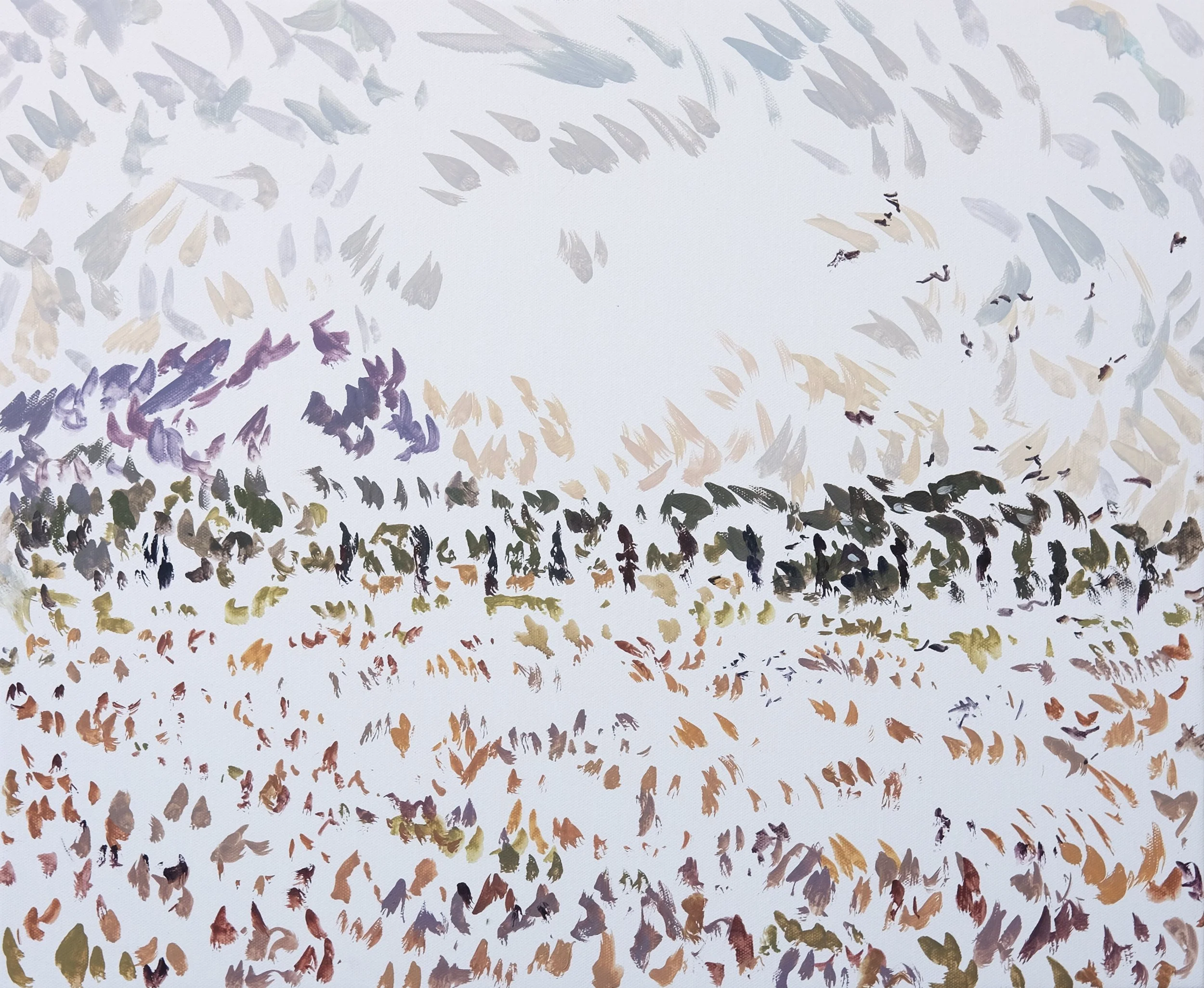 Sainte Victoire 2 Birds.JPG