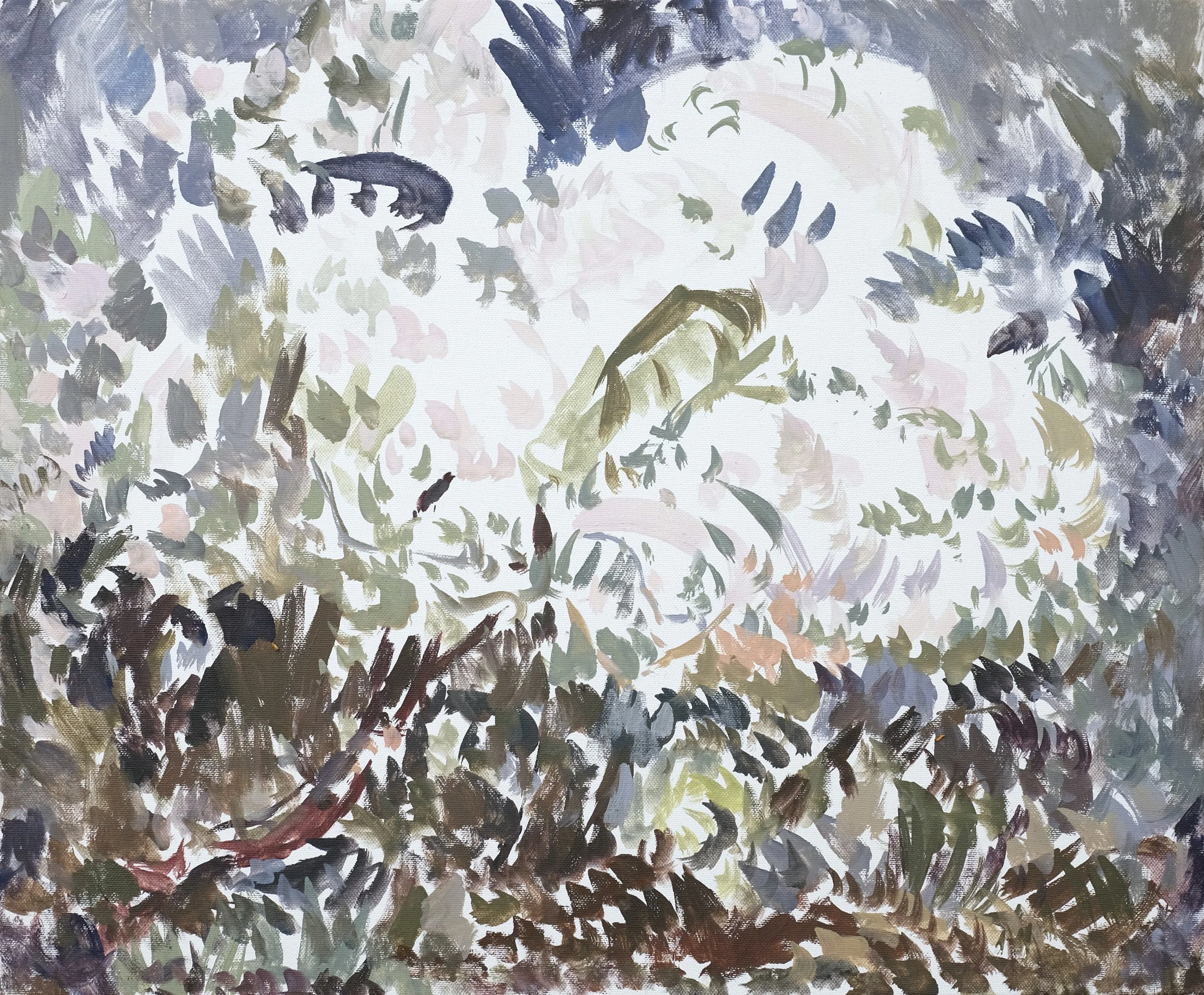 Quince Blossoms 1.JPG