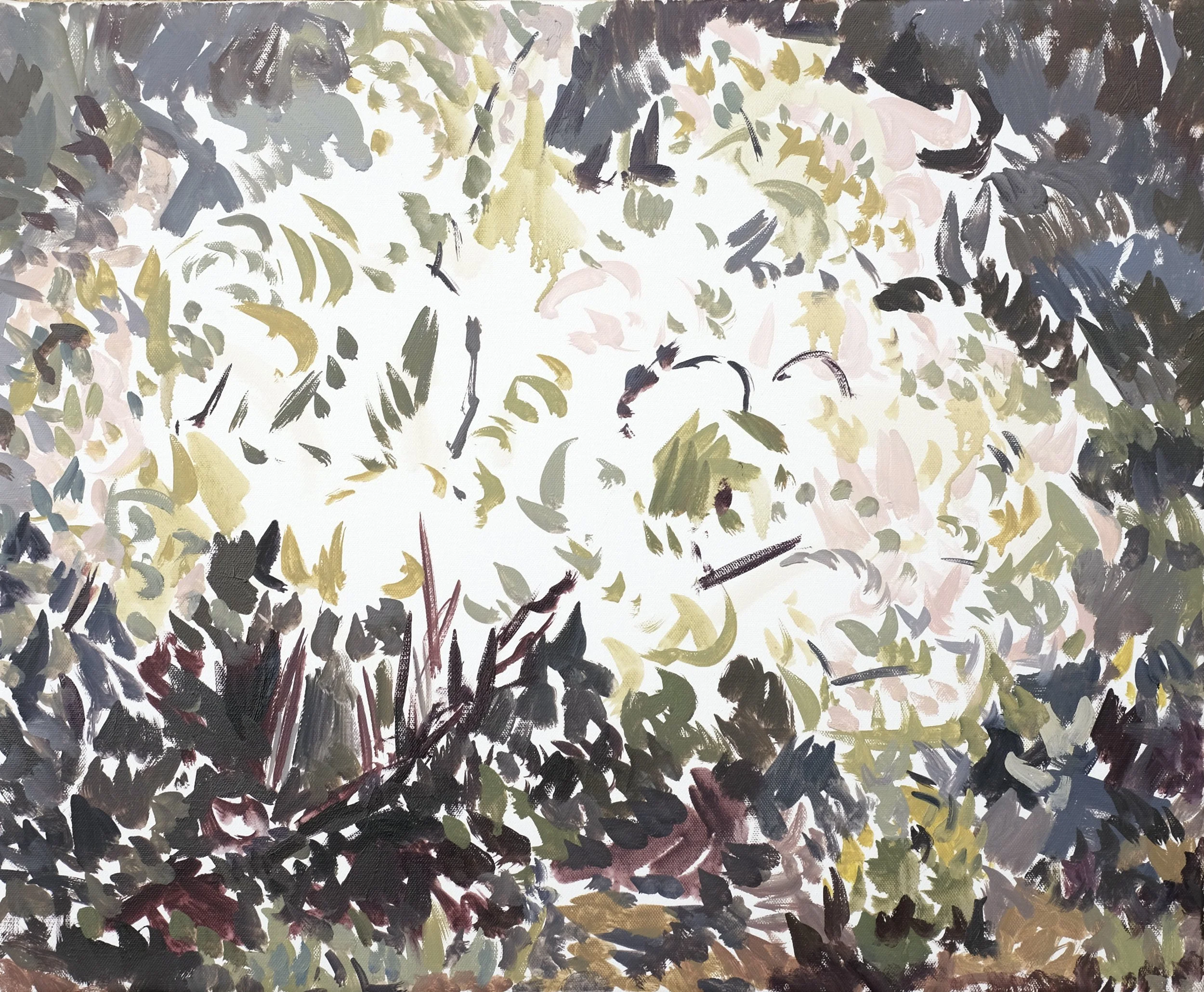 Quince Blossoms 3.JPG