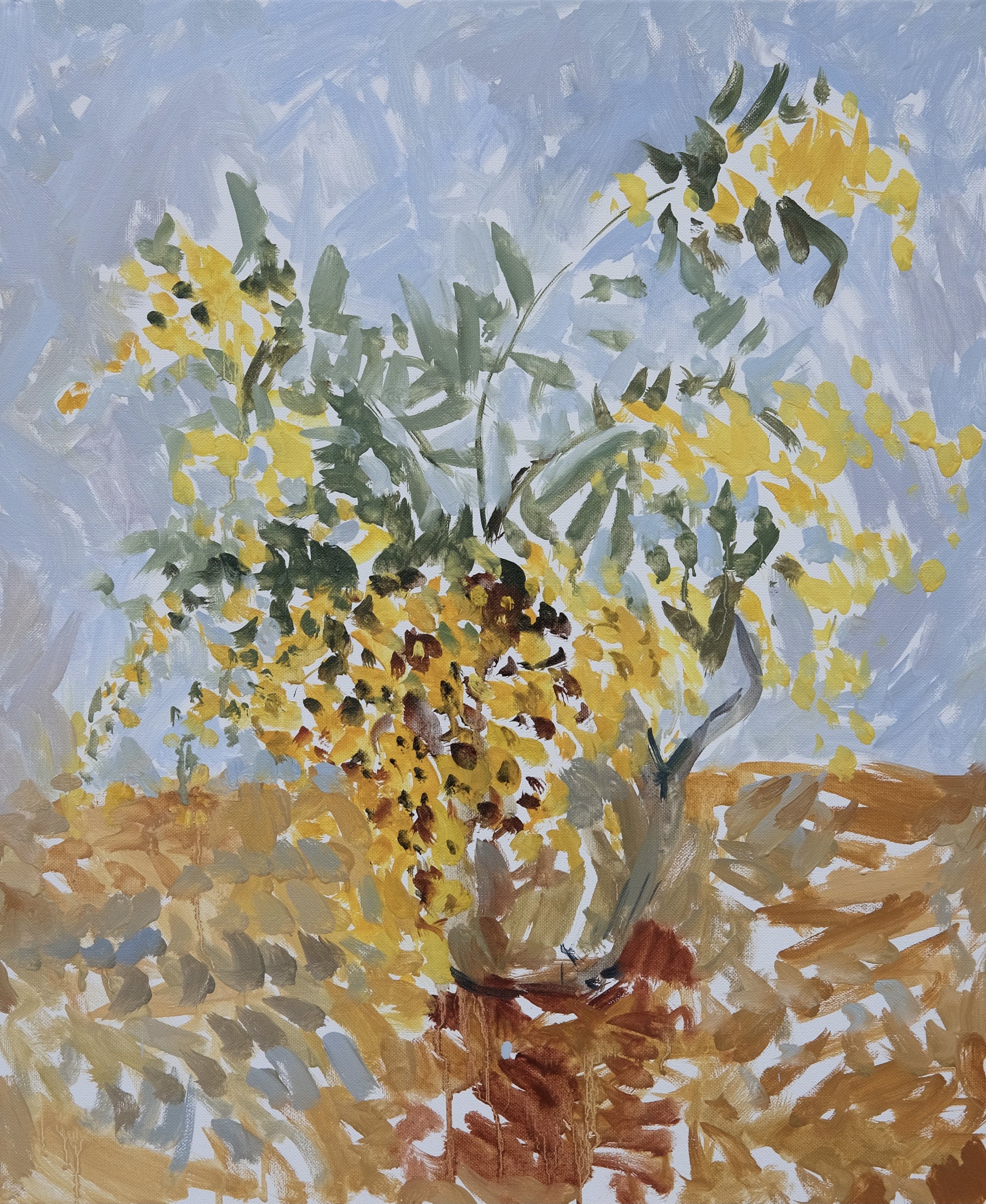 Mimosas, peinture d’O’Neill Cushman