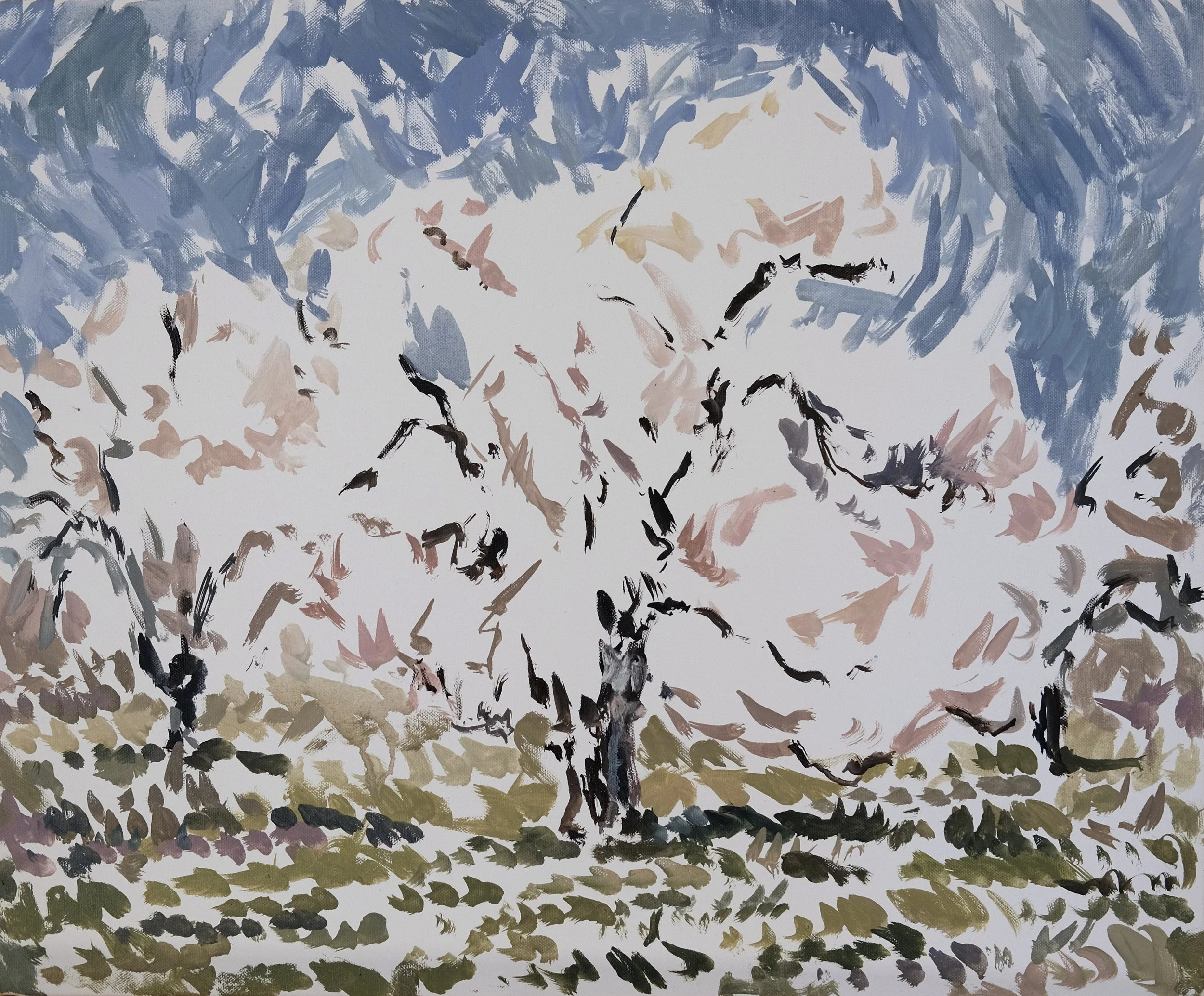 Almond Trees 2.JPG