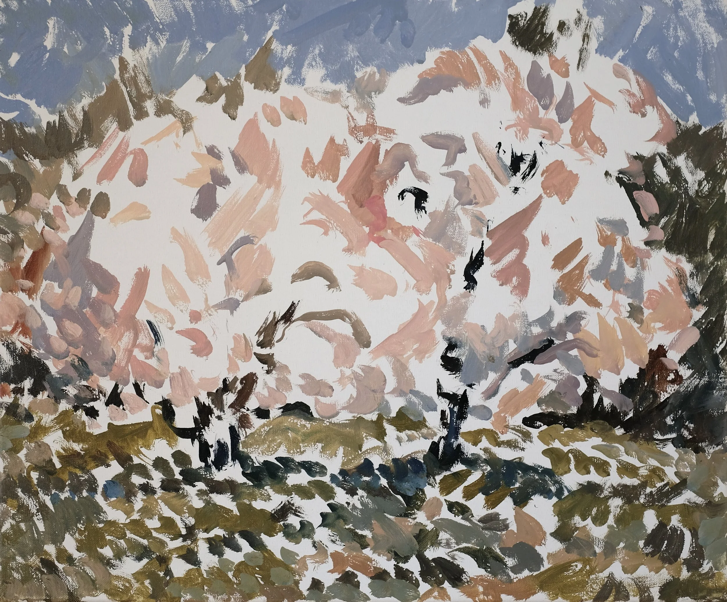 Two Almond Trees 2.JPG