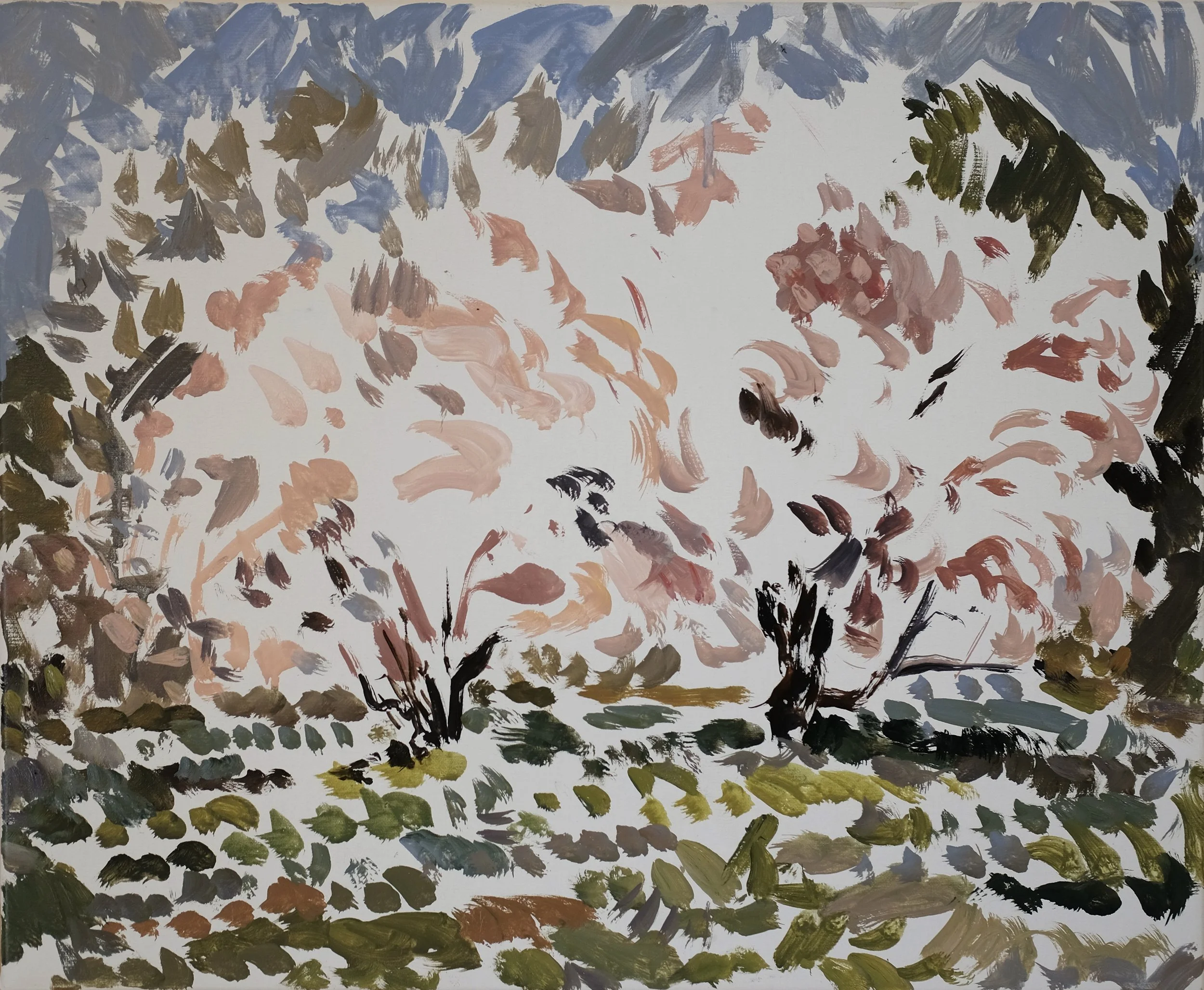 Two Almond Trees 3.JPG