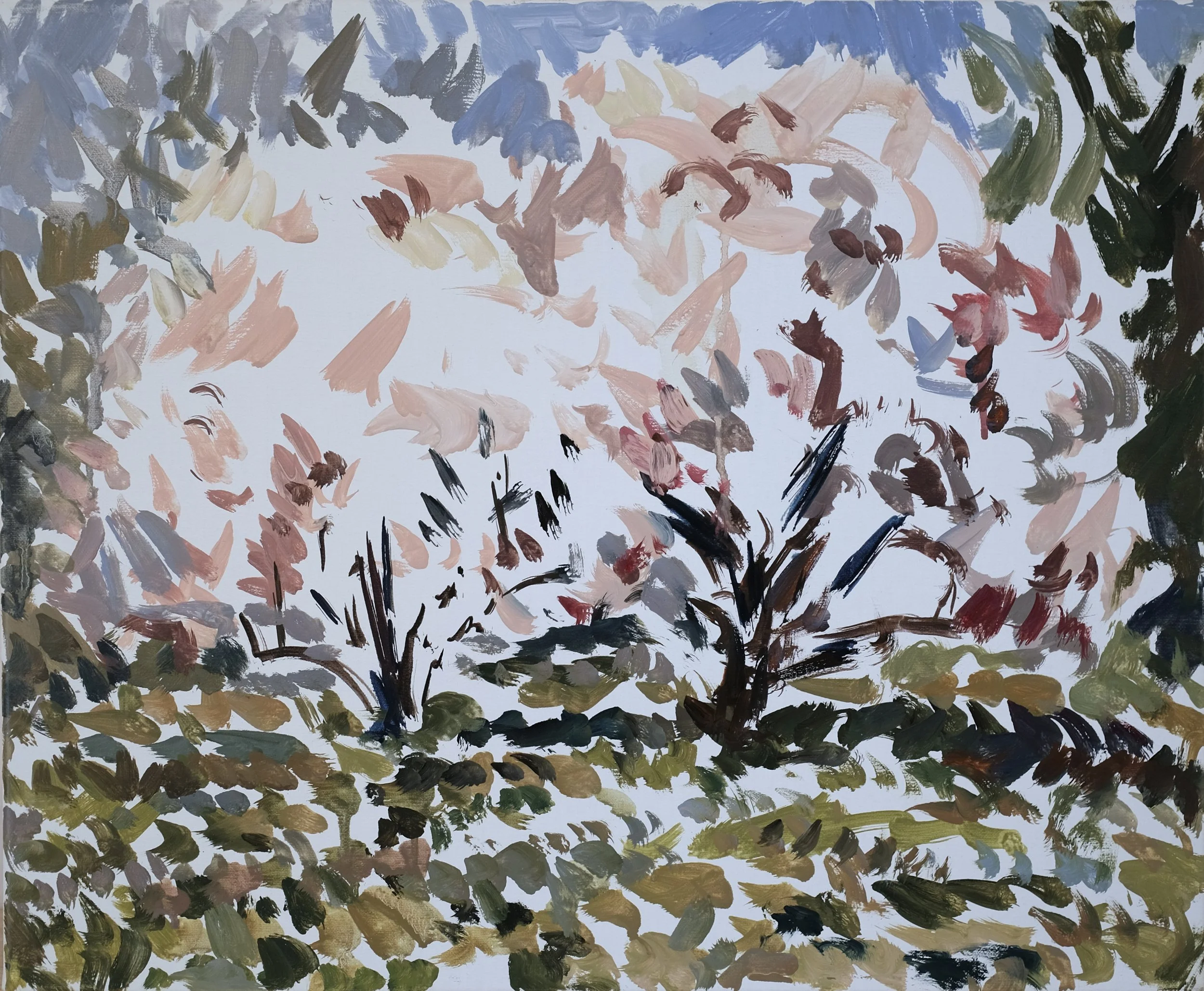 Two Almond Trees 4.JPG