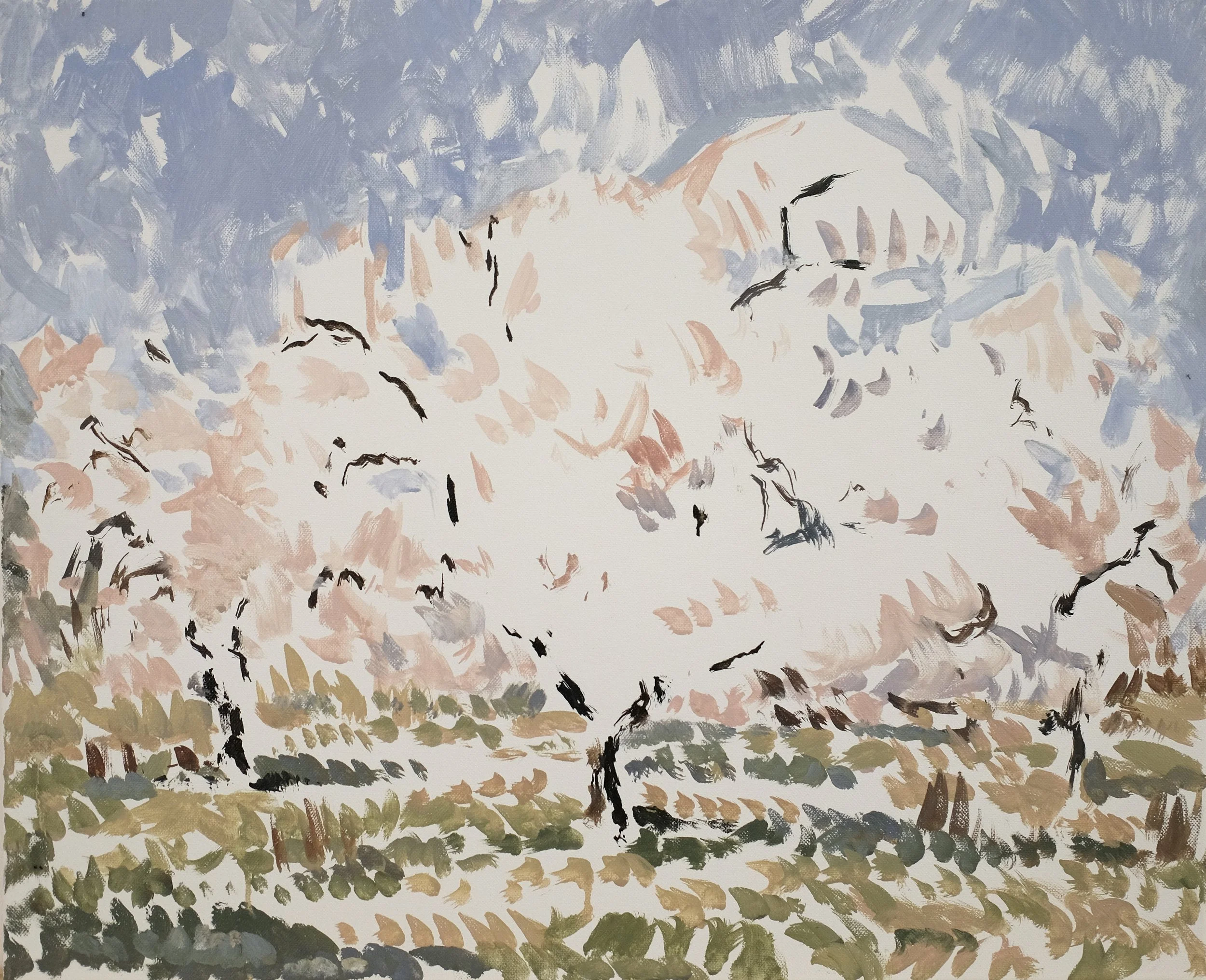 Almond Trees 6.JPG