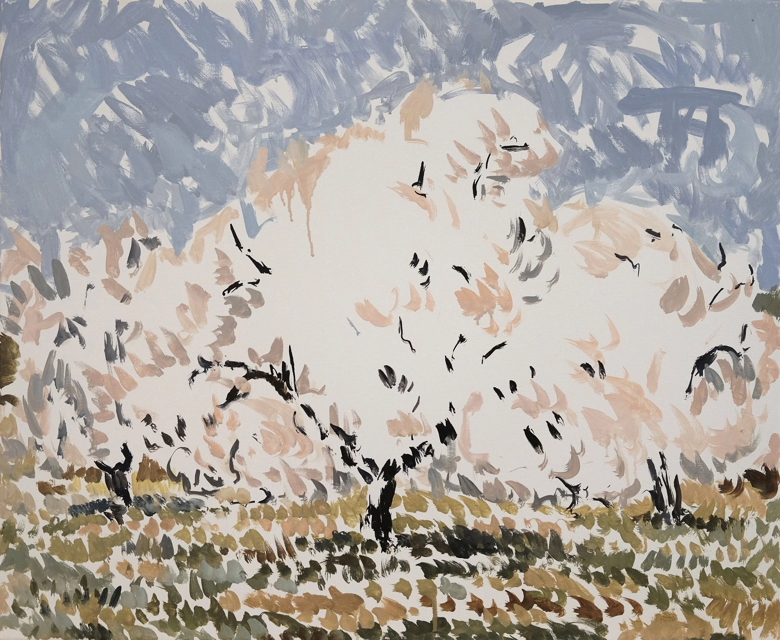 Almond Trees 11.JPG