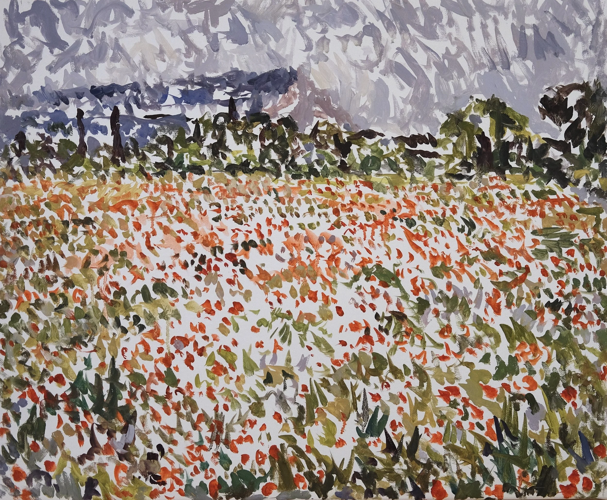 Poppies 1.JPG