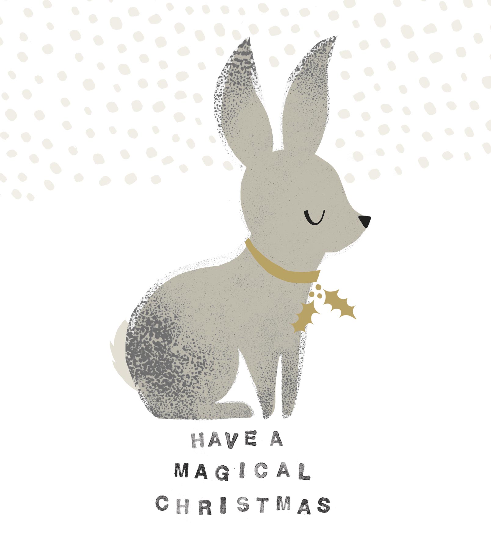 rabbit.jpg