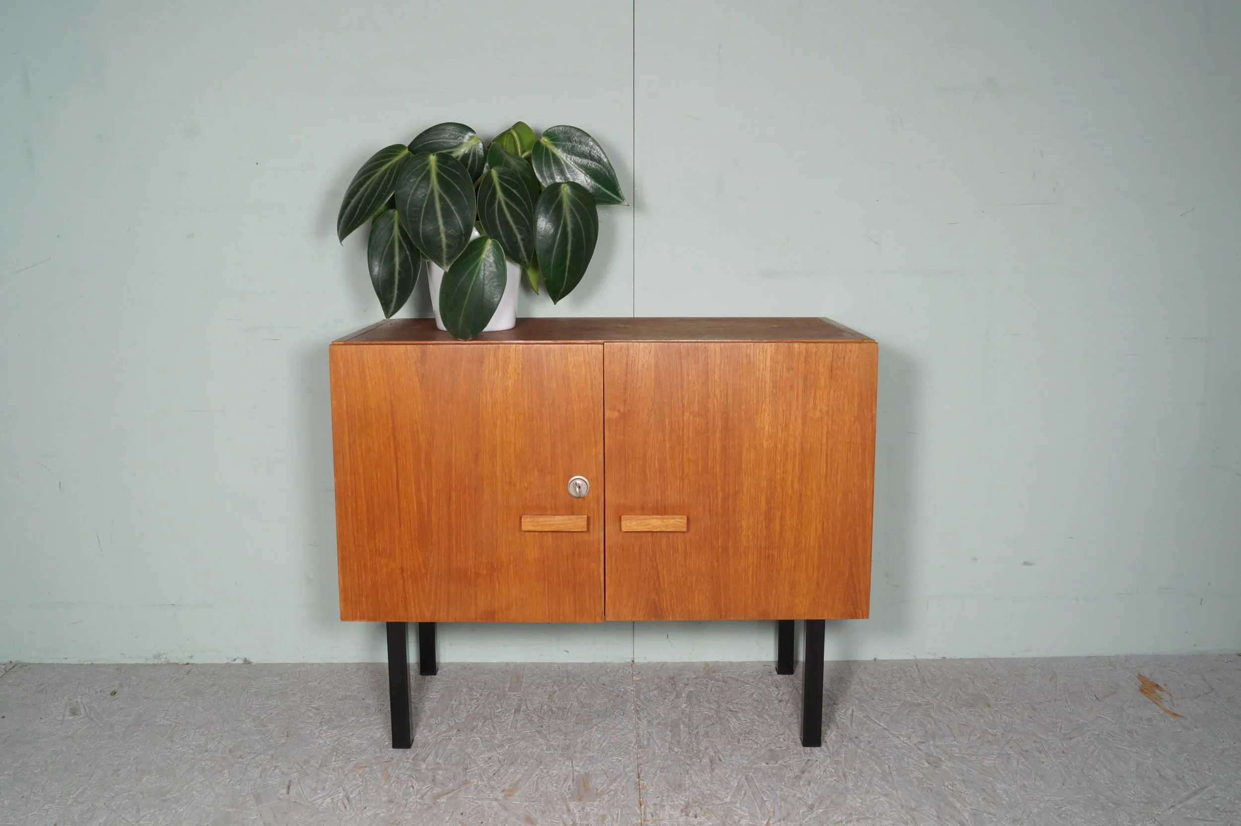 Een houten kast met pootjes, een groene plant in een witte pot, tegen een lichtgroene muur.