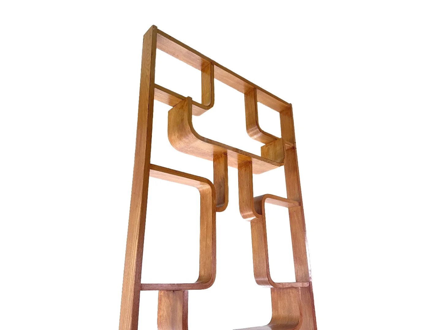 Vintage-mid-century-roomdivider-van-Ludvík-Volák-ka19-26-(18).jpg