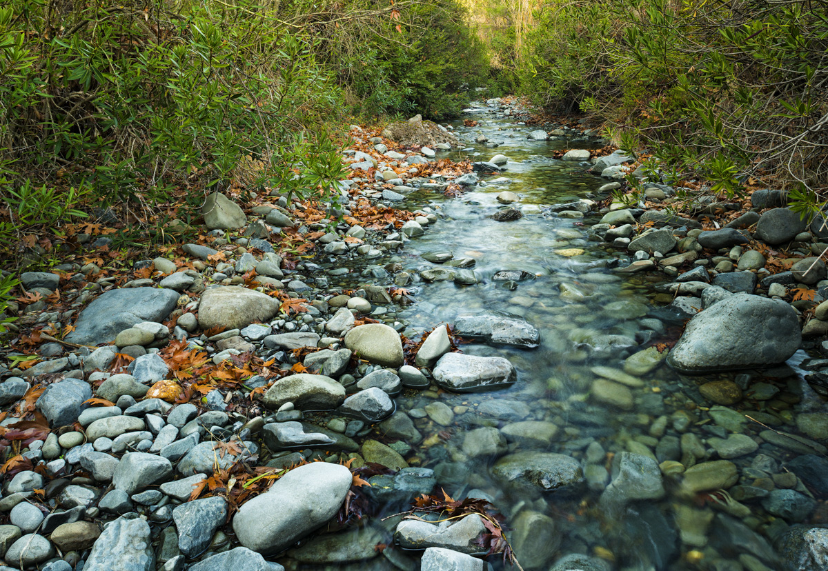 Pedieos River ( Nicosia), Cyprus