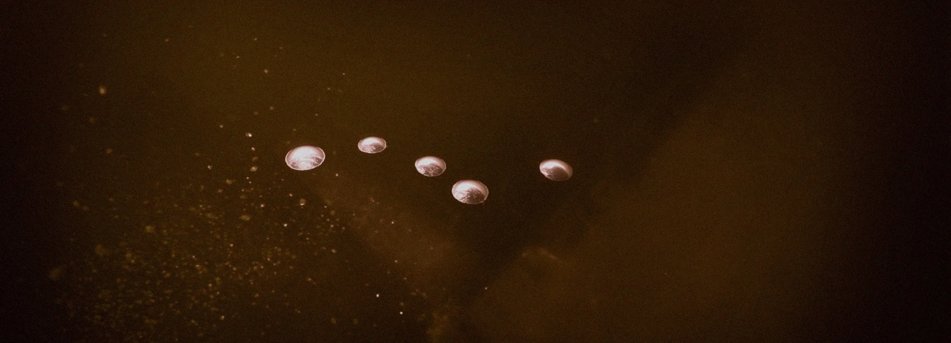 Still from Homobulla 18 Days-Melina Nicolaides.jpg