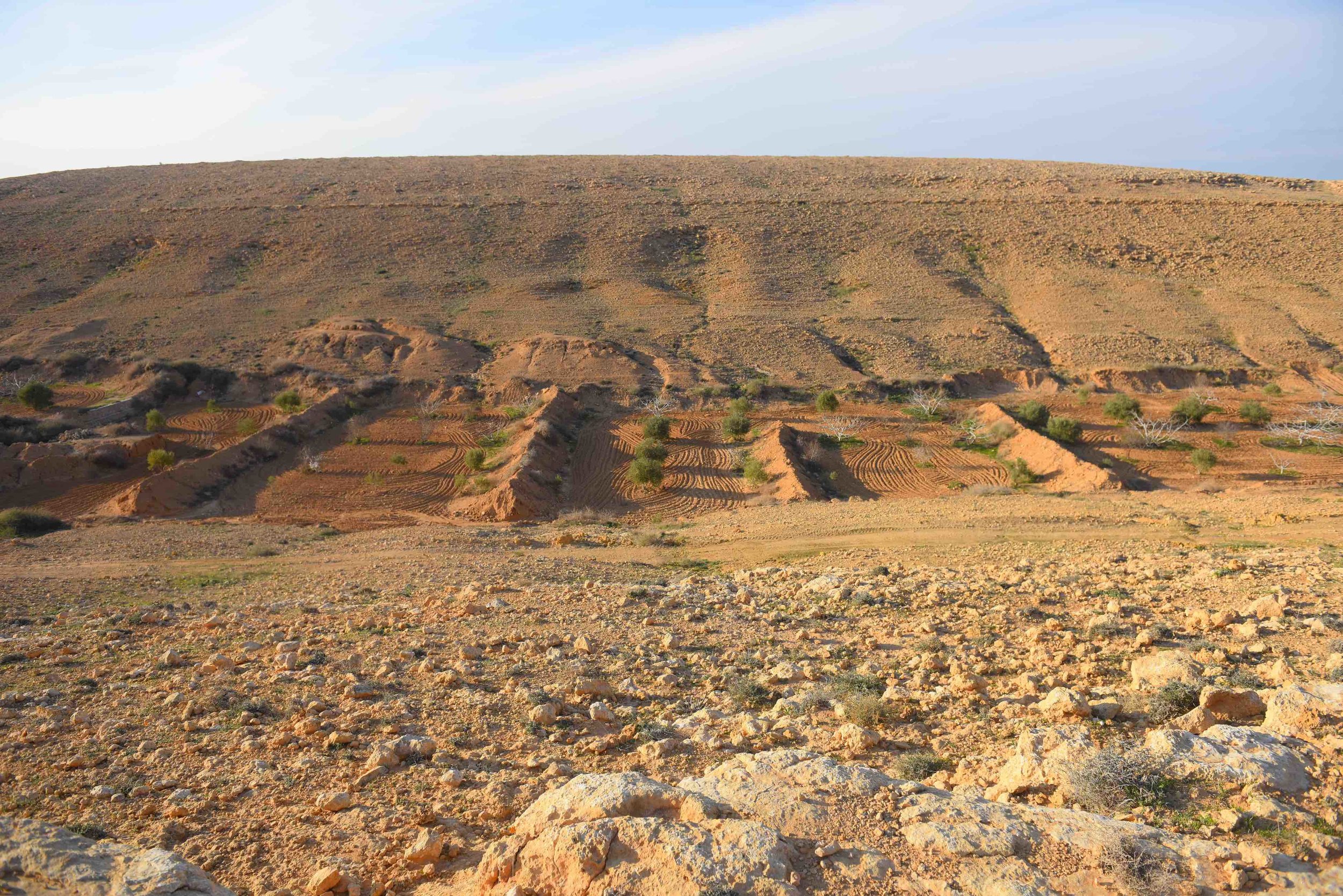  Kharoba Valley, showing the simultaneous and multiple techniques that Bedouin farmers use to collect water 