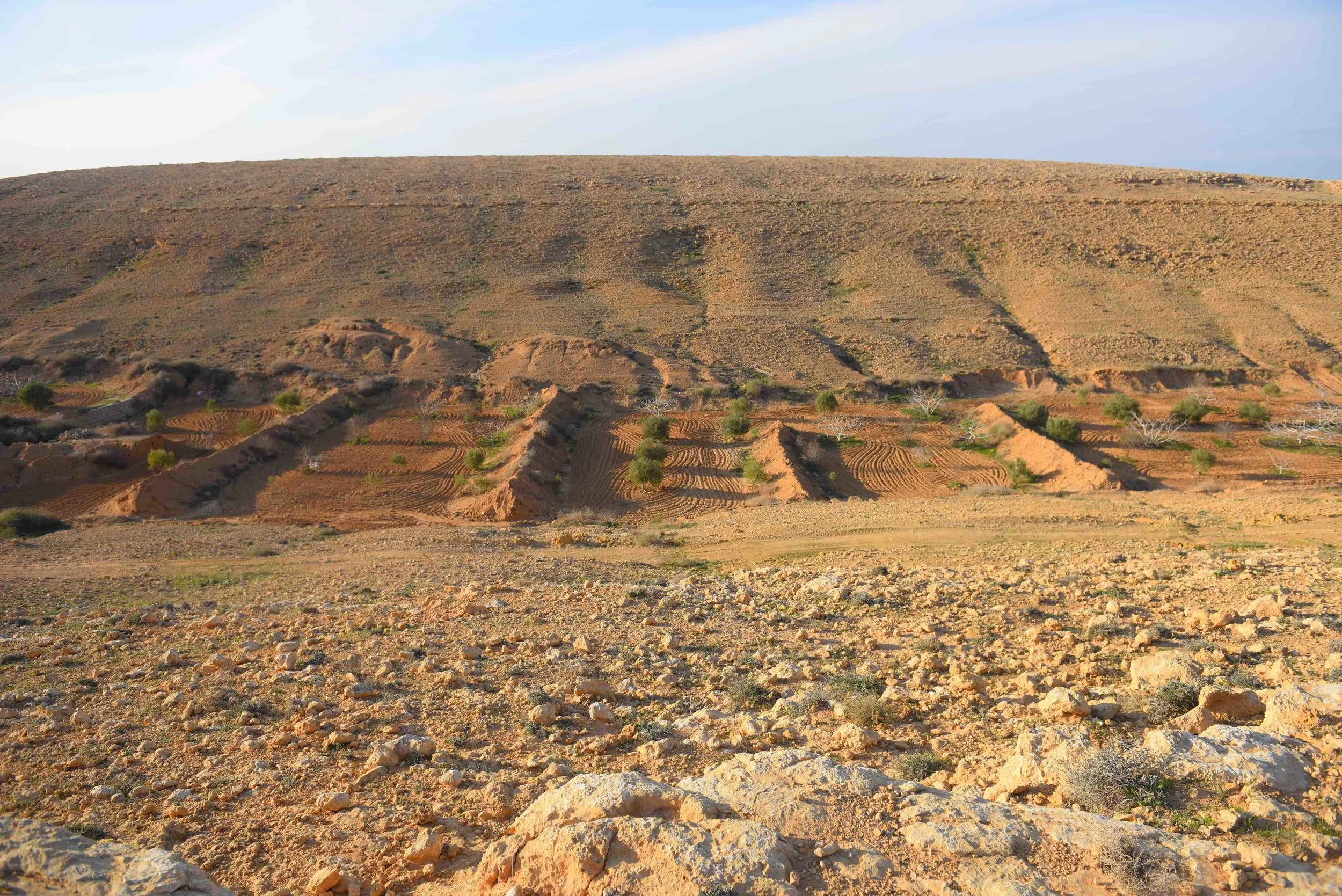 Kharoba Valley, showing the simultaneous and multiple techniques that Bedouin farmers use to collect water
