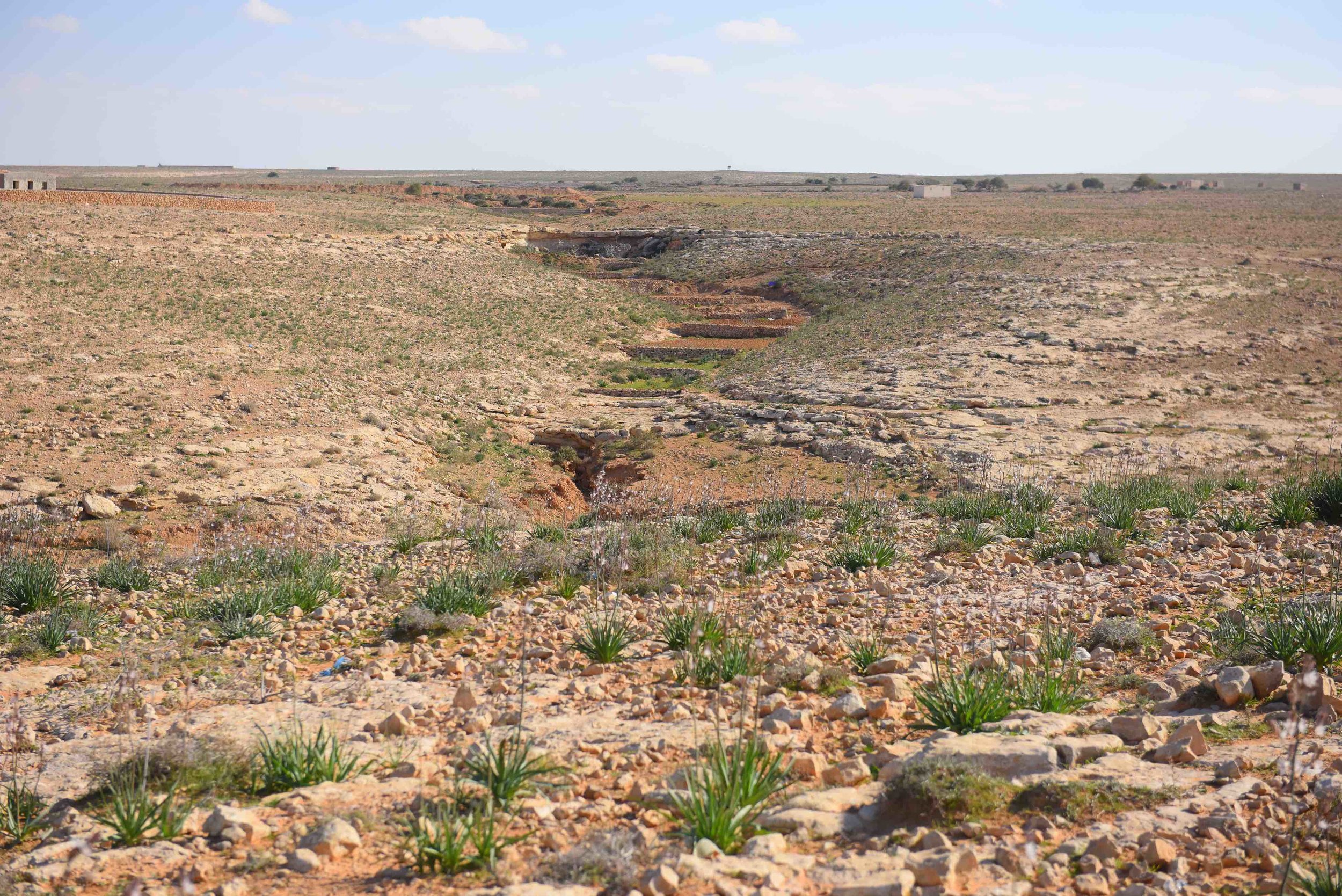  Landscape which shows multiple wadi catchment structures for slowing down surface water     