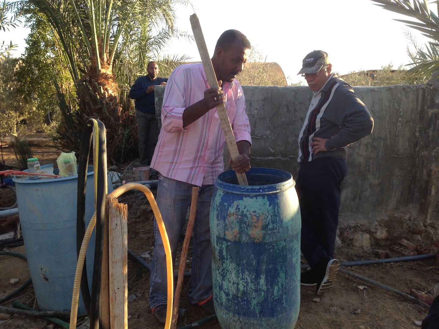  Dr. Soliman overviewing the mixing of sulfer with fertilizer to add to the soil 